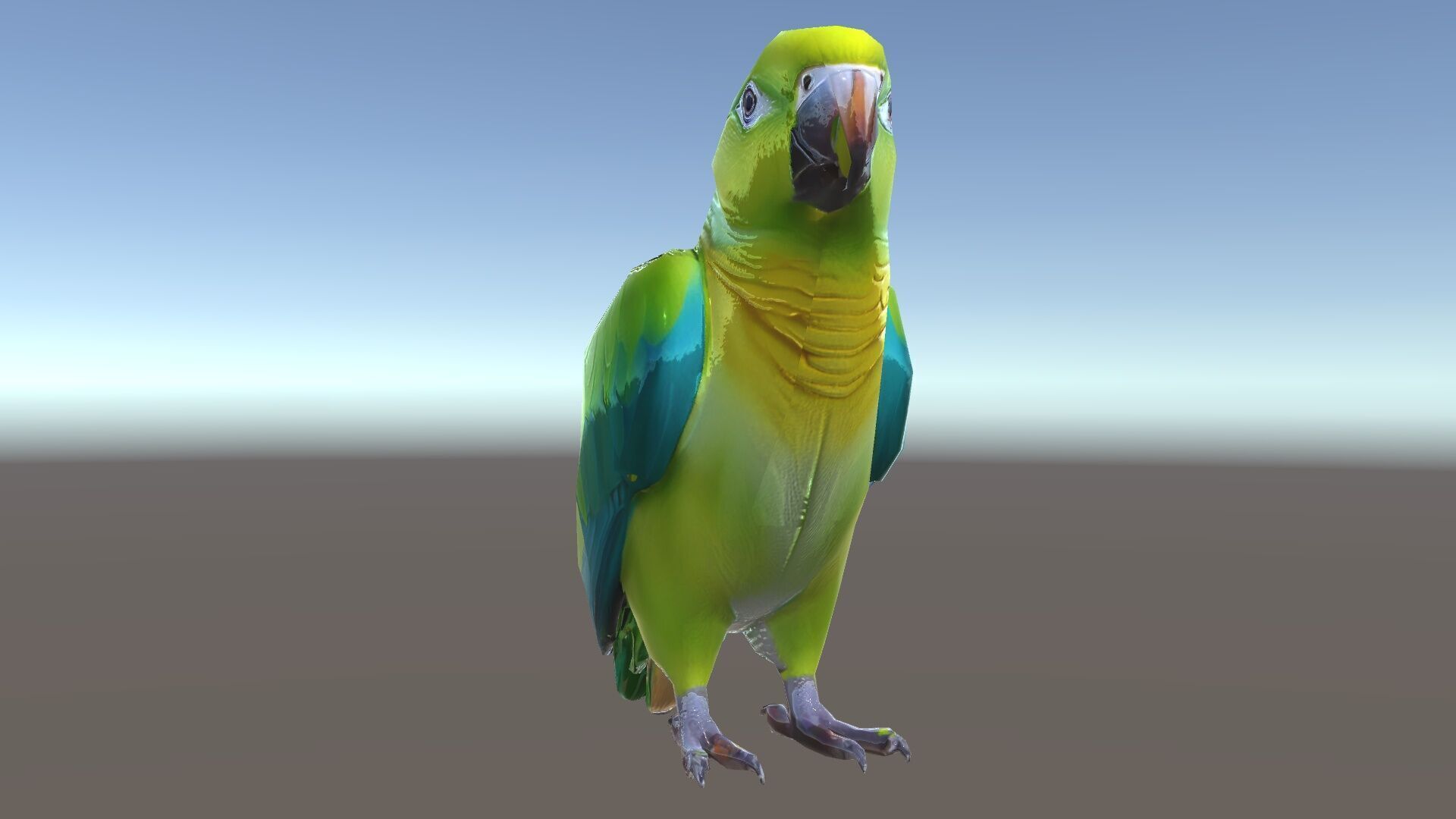 Vibrant Parrot D Model Pack Low-poly 3D model_10