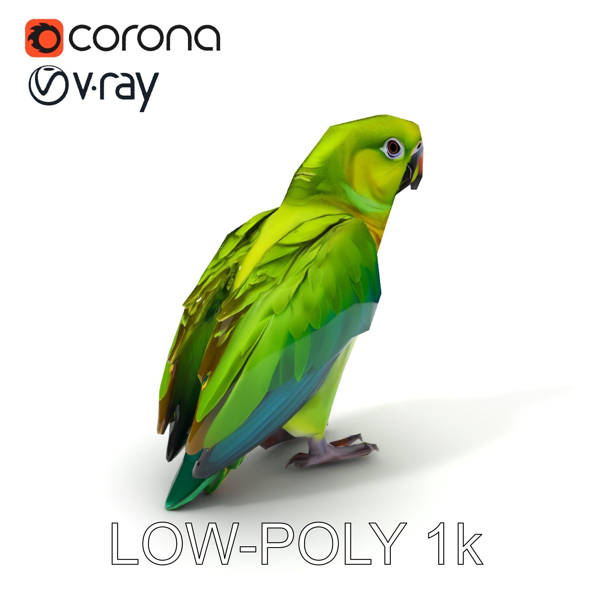 Vibrant Parrot D Model Pack Low-poly 3D model_32