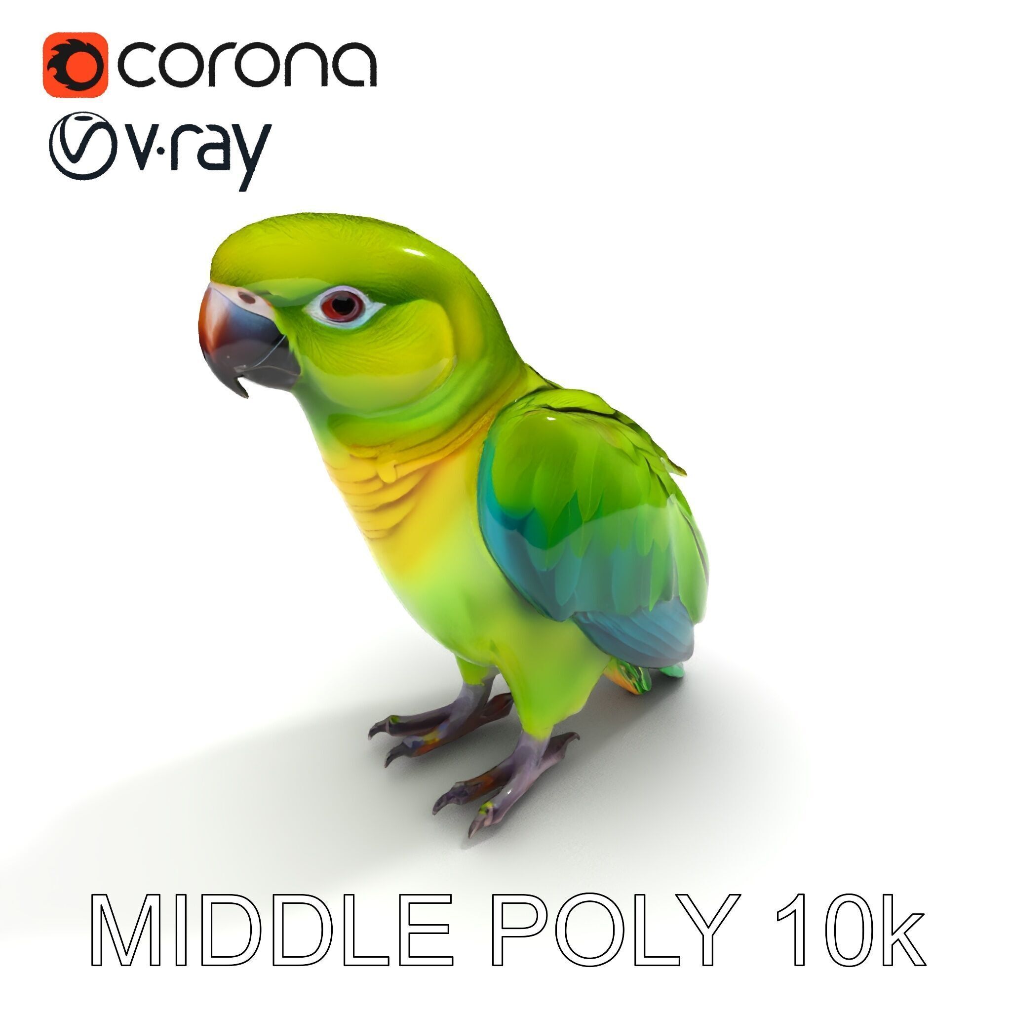 Vibrant Parrot D Model Pack Low-poly 3D model_9