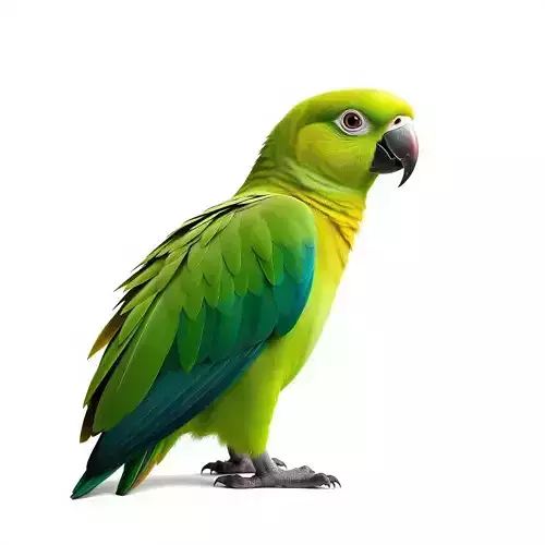 Vibrant Parrot D Model Pack Low-poly 3D model