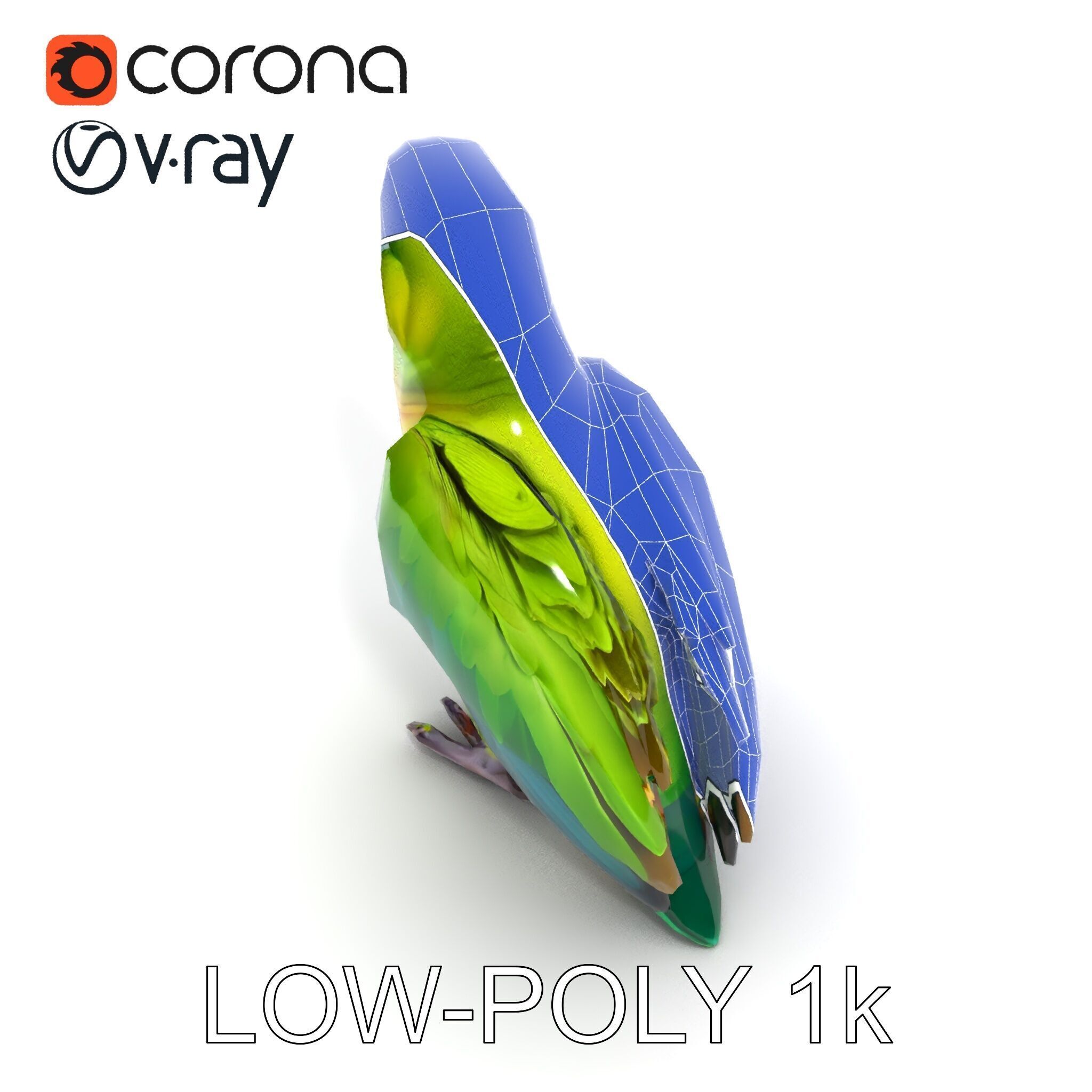 Vibrant Parrot D Model Pack Low-poly 3D model_7