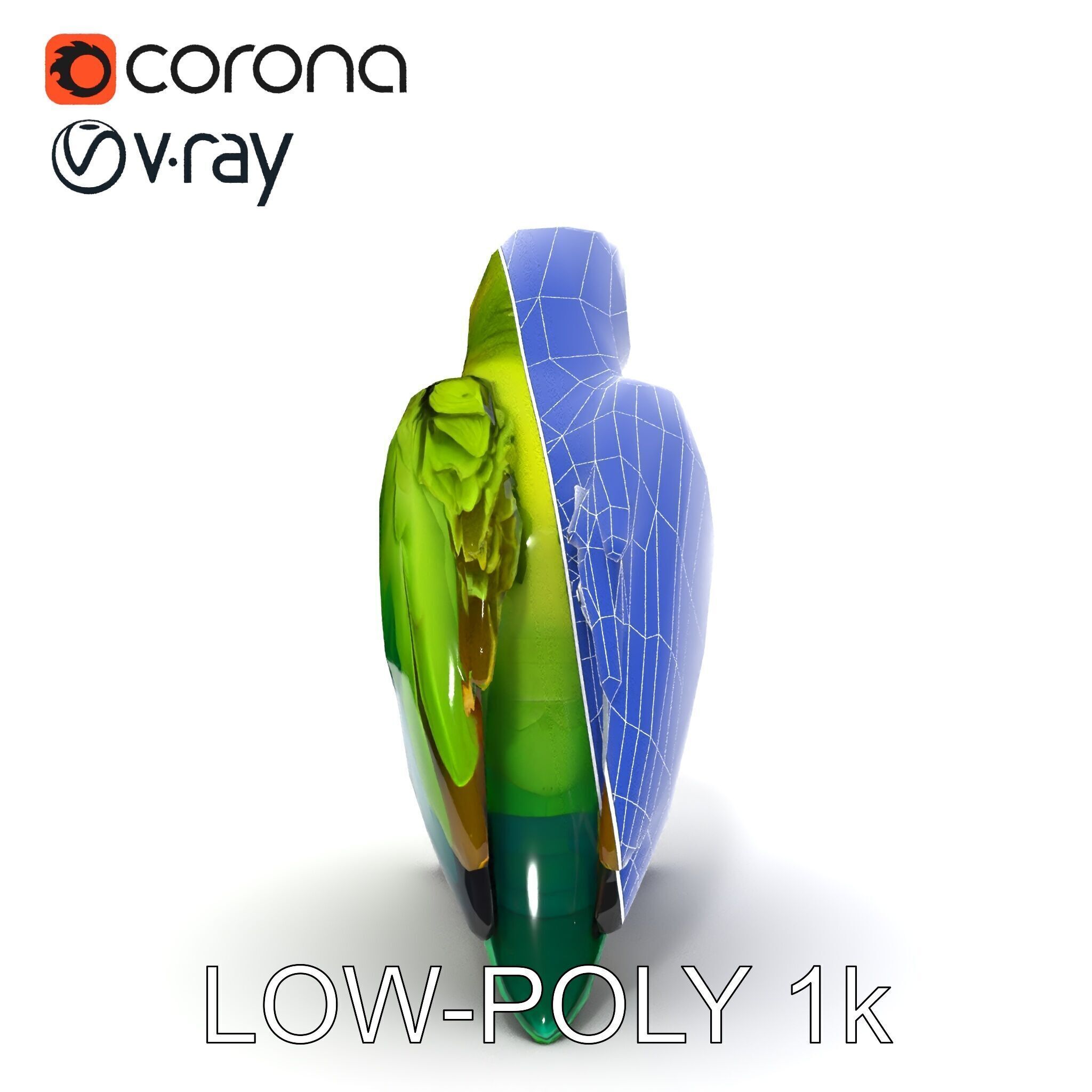 Vibrant Parrot D Model Pack Low-poly 3D model_35