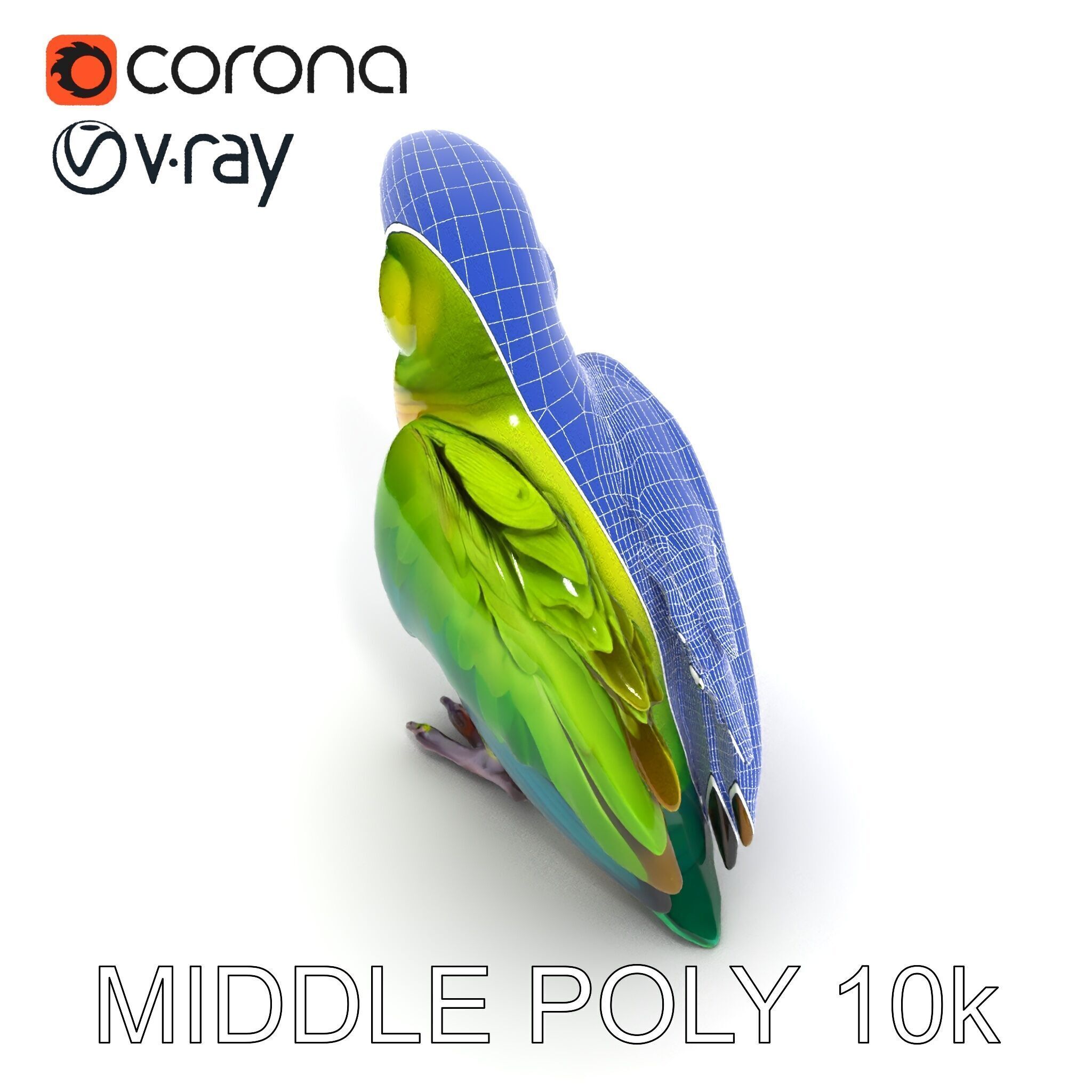 Vibrant Parrot D Model Pack Low-poly 3D model_31