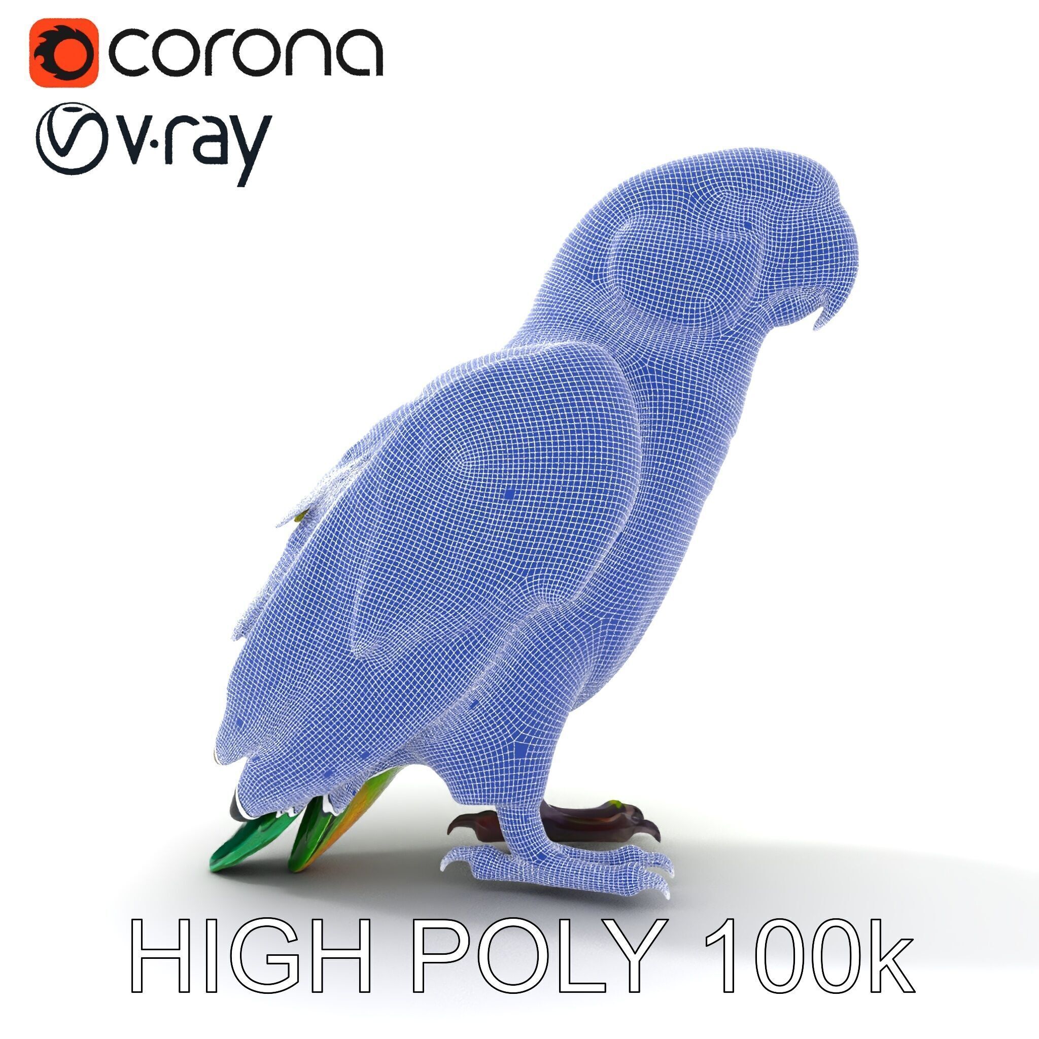 Vibrant Parrot D Model Pack Low-poly 3D model_21