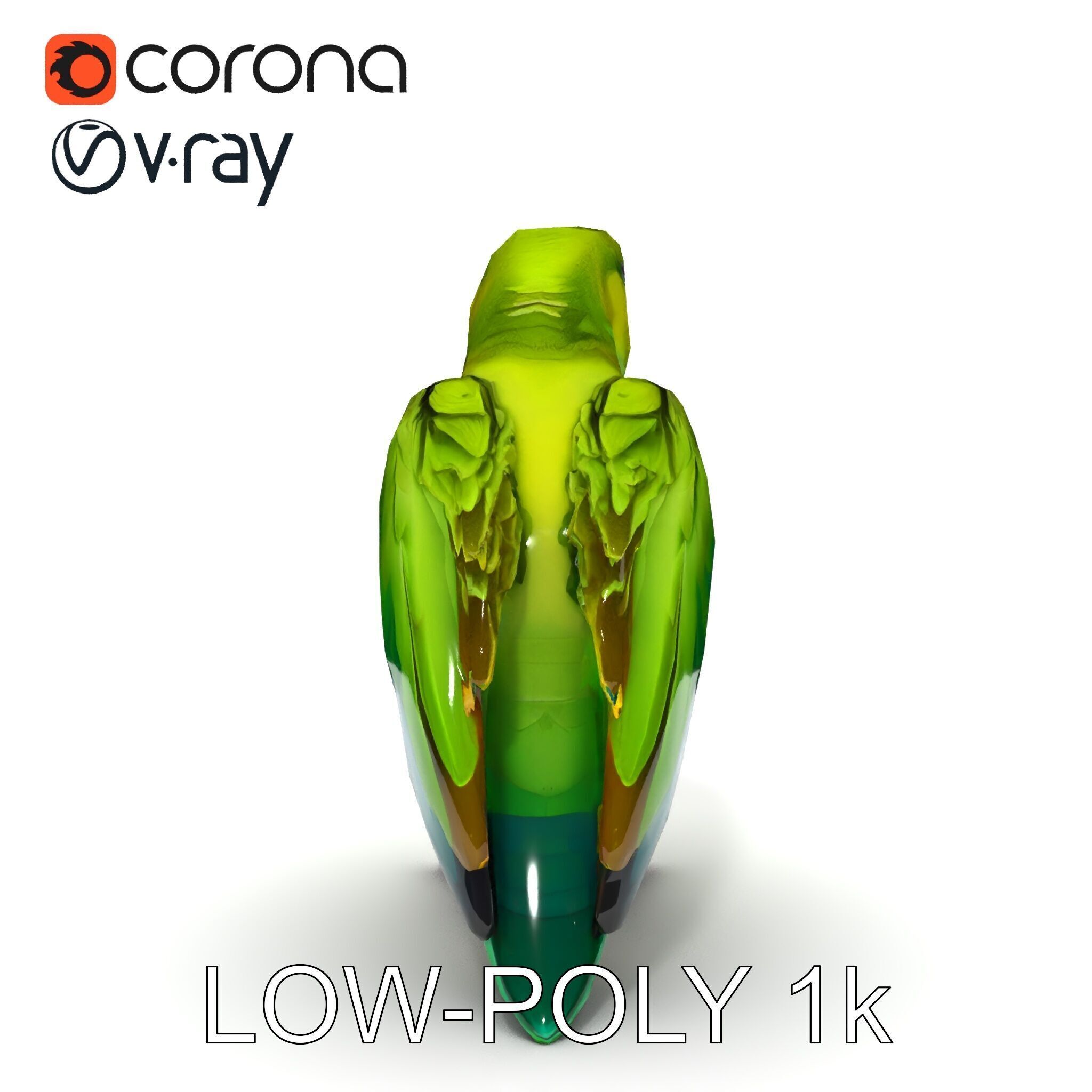Vibrant Parrot D Model Pack Low-poly 3D model_13