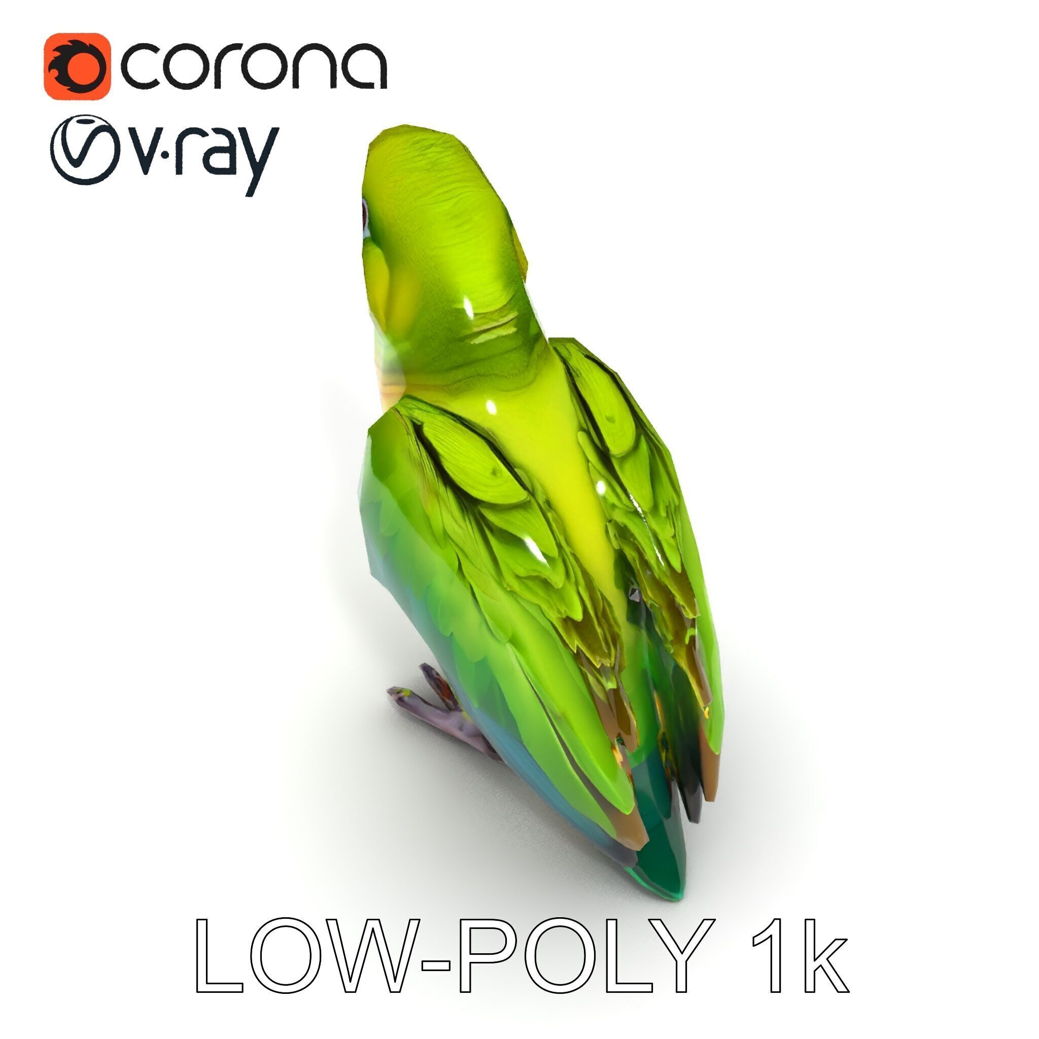Vibrant Parrot D Model Pack Low-poly 3D model_26