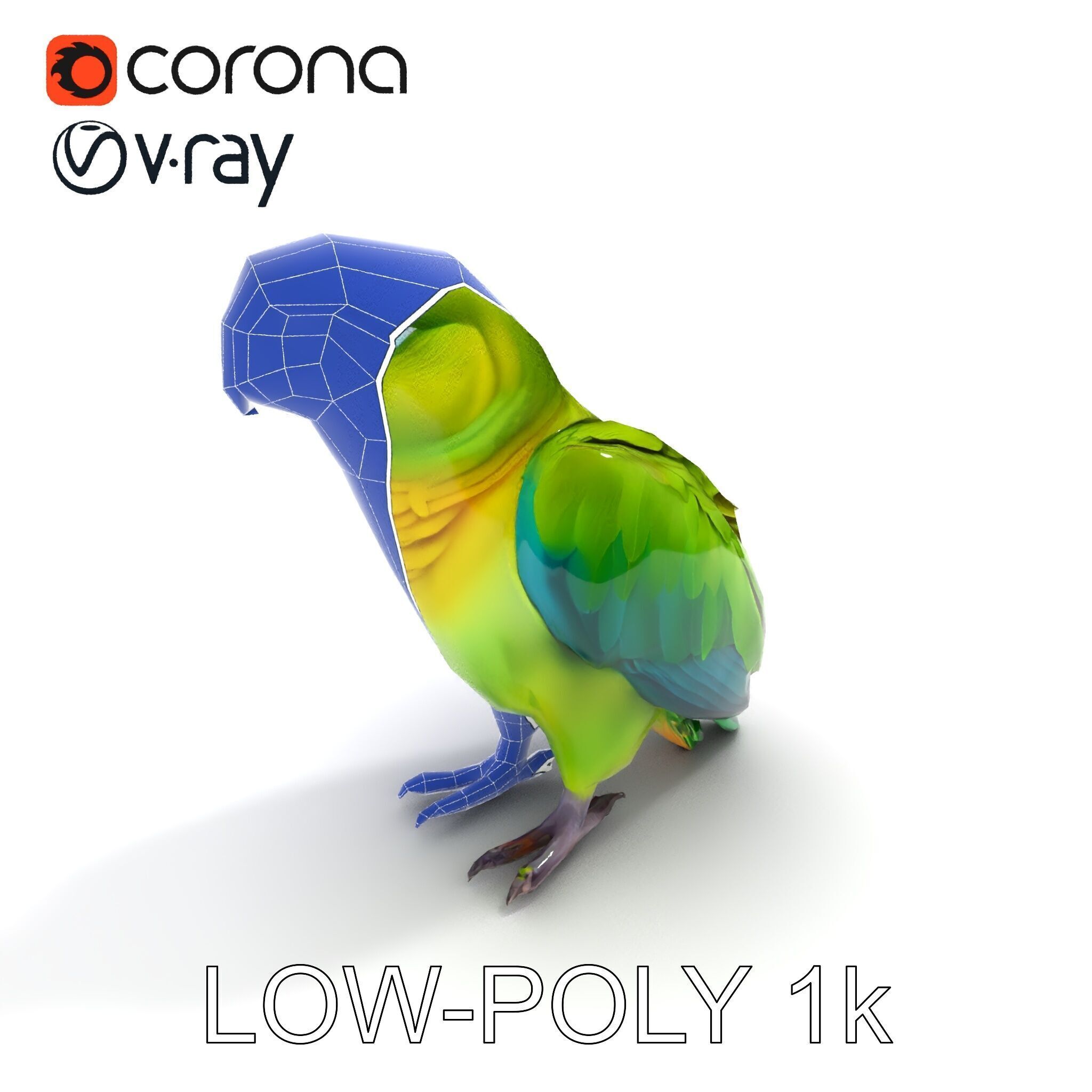 Vibrant Parrot D Model Pack Low-poly 3D model_20
