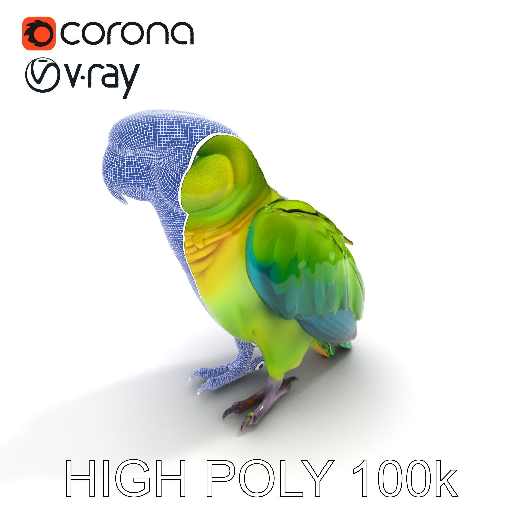 Vibrant Parrot D Model Pack Low-poly 3D model_8