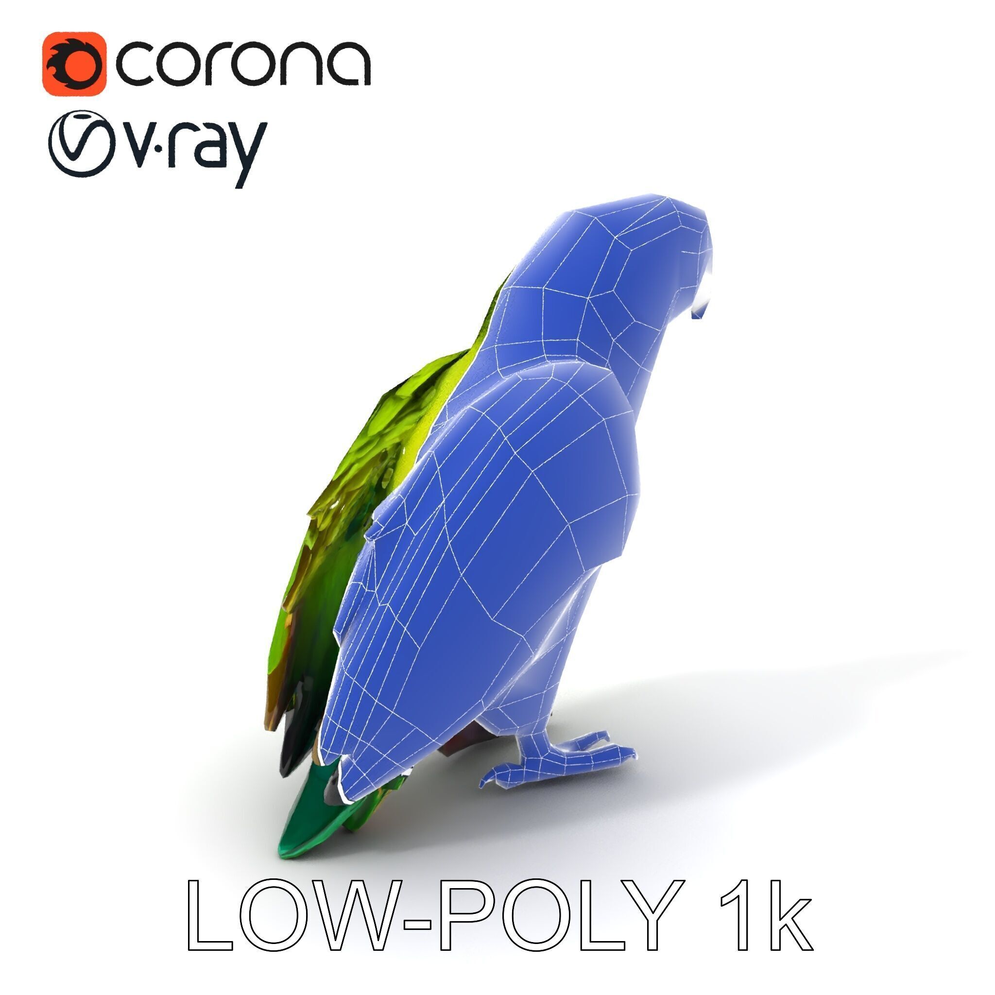 Vibrant Parrot D Model Pack Low-poly 3D model_18
