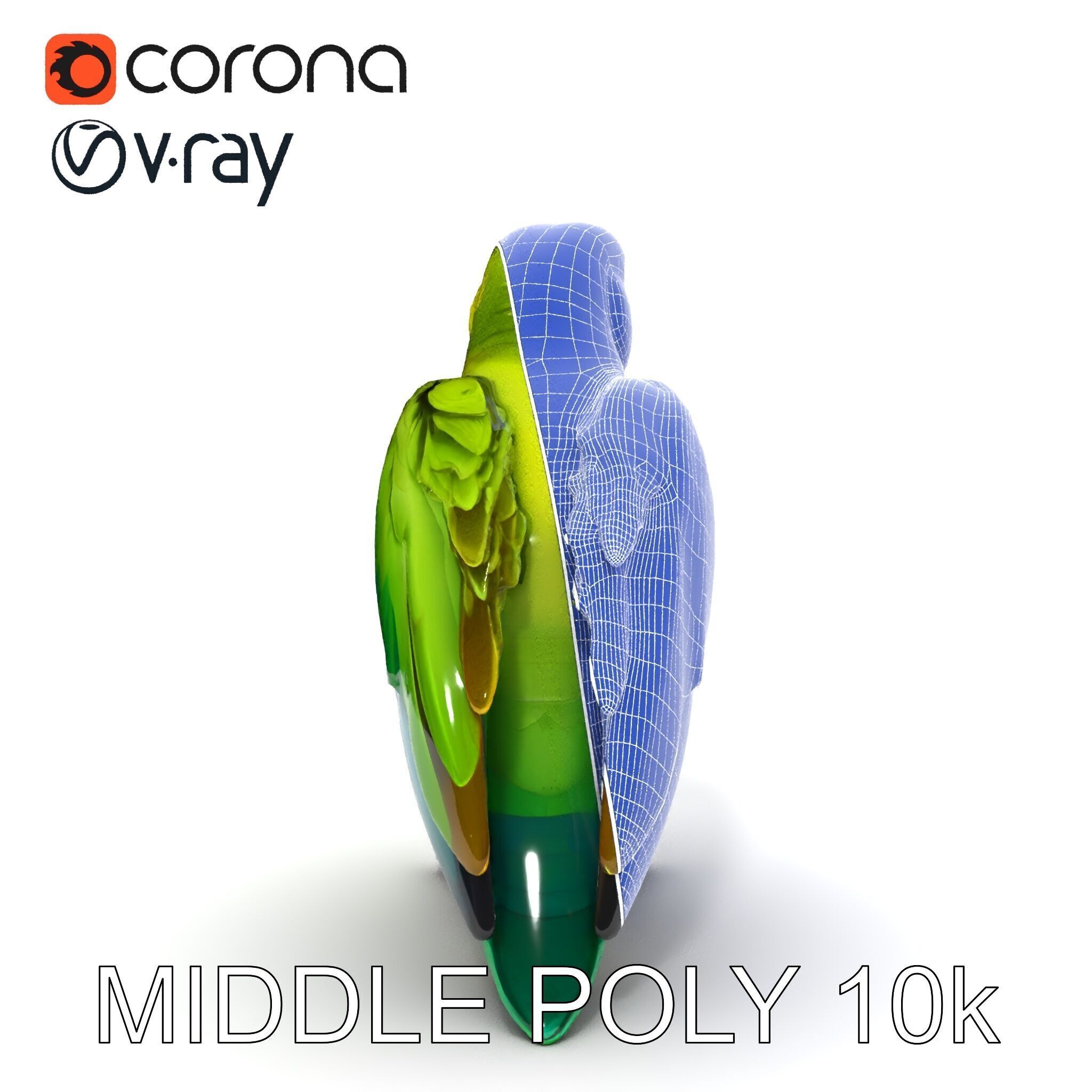 Vibrant Parrot D Model Pack Low-poly 3D model_25