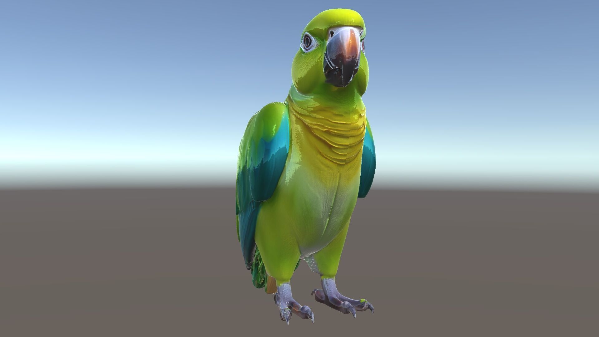Vibrant Parrot D Model Pack Low-poly 3D model_5