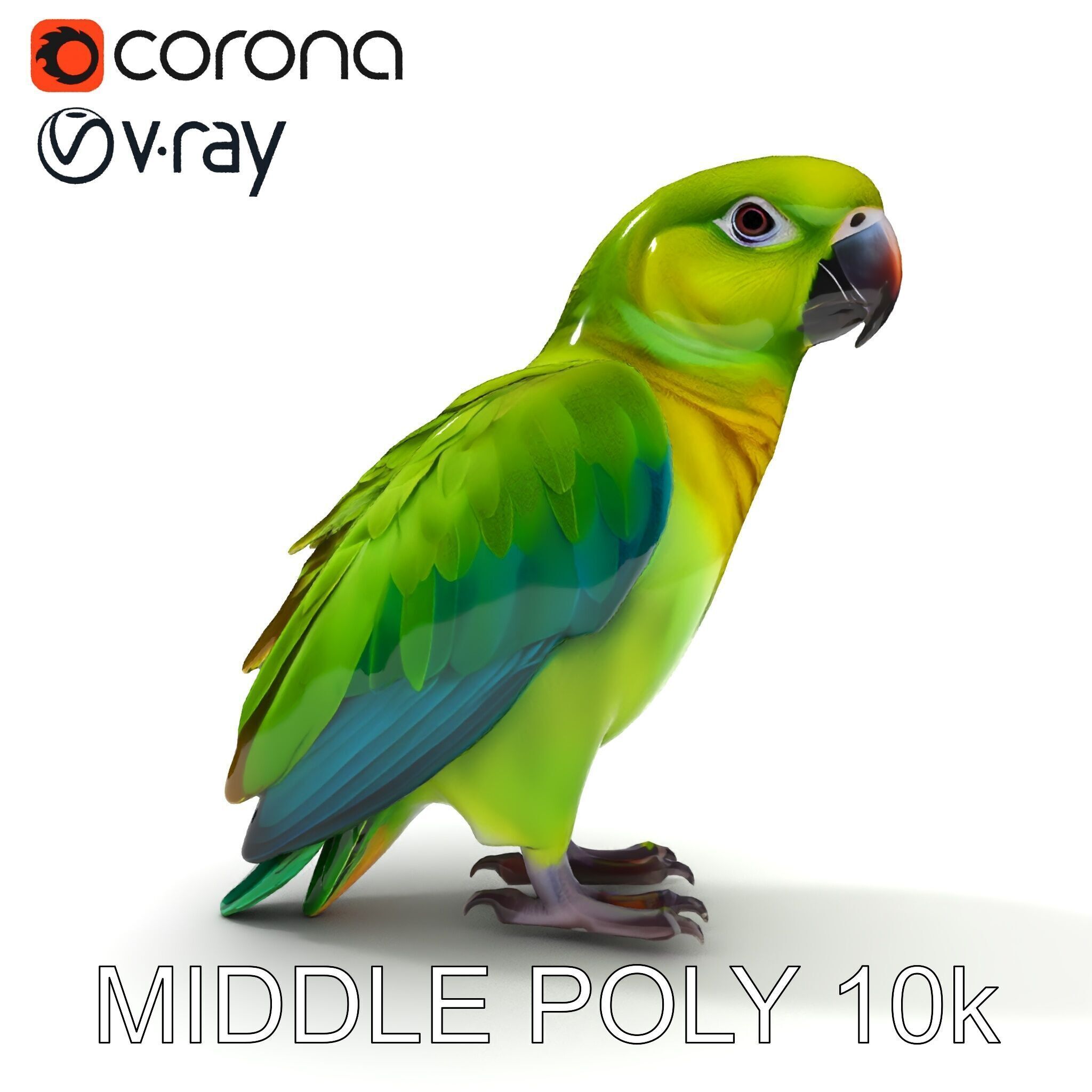 Vibrant Parrot D Model Pack Low-poly 3D model_14