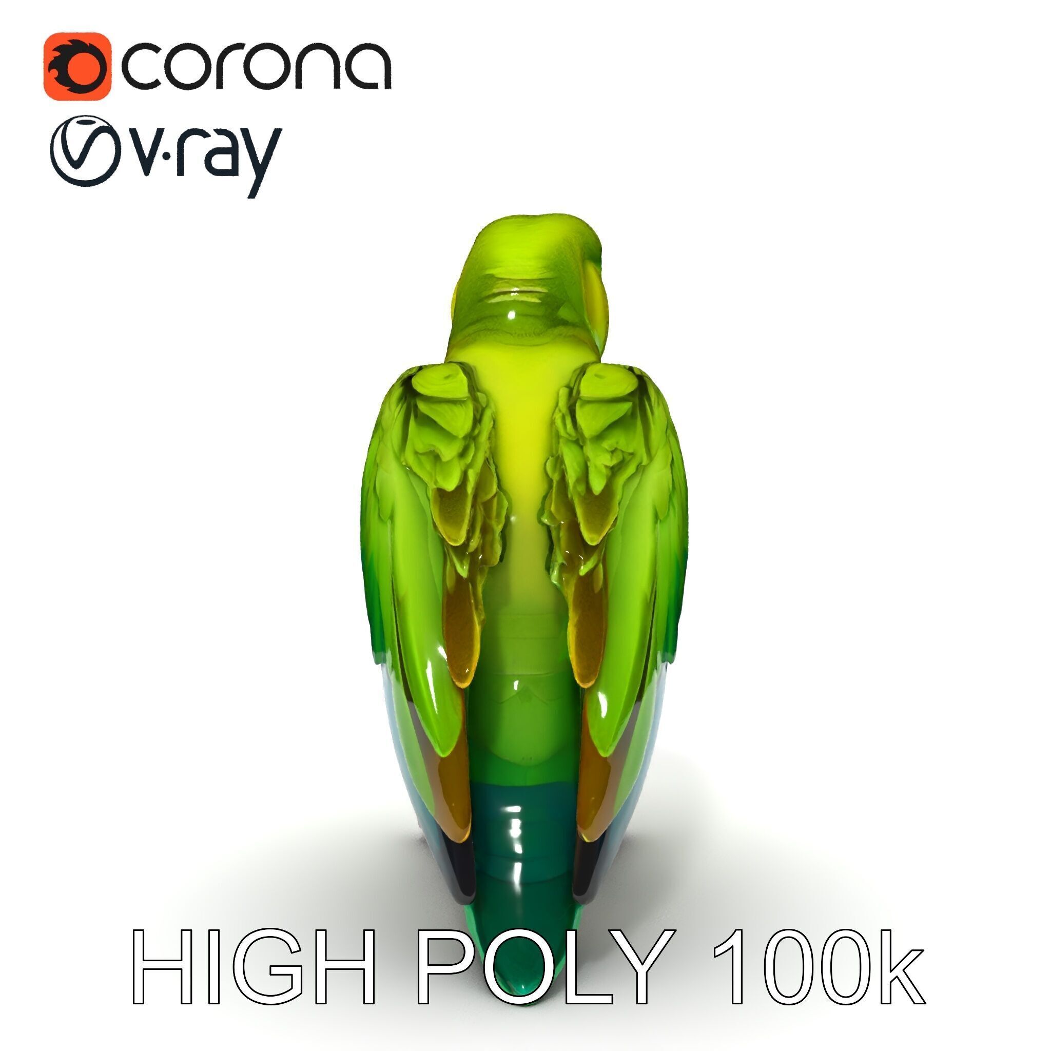 Vibrant Parrot D Model Pack Low-poly 3D model_11