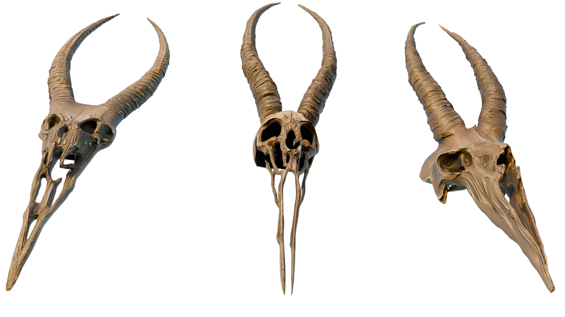 Big Horned wendigo head 3D model_12