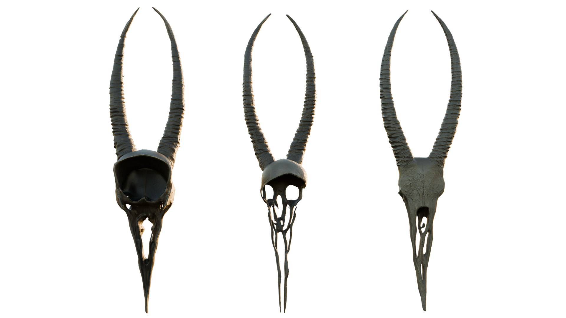 Big Horned wendigo head 3D model_11