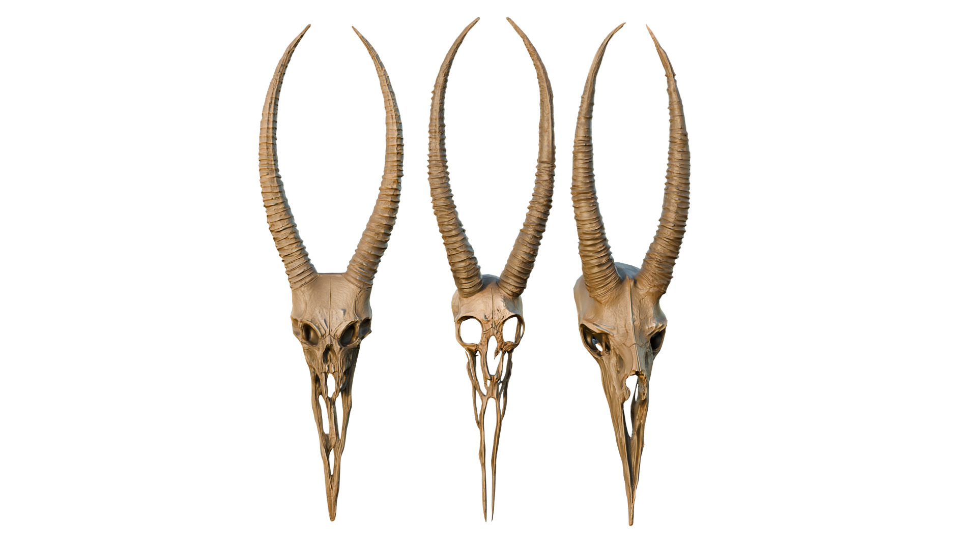 Big Horned wendigo head 3D model_8