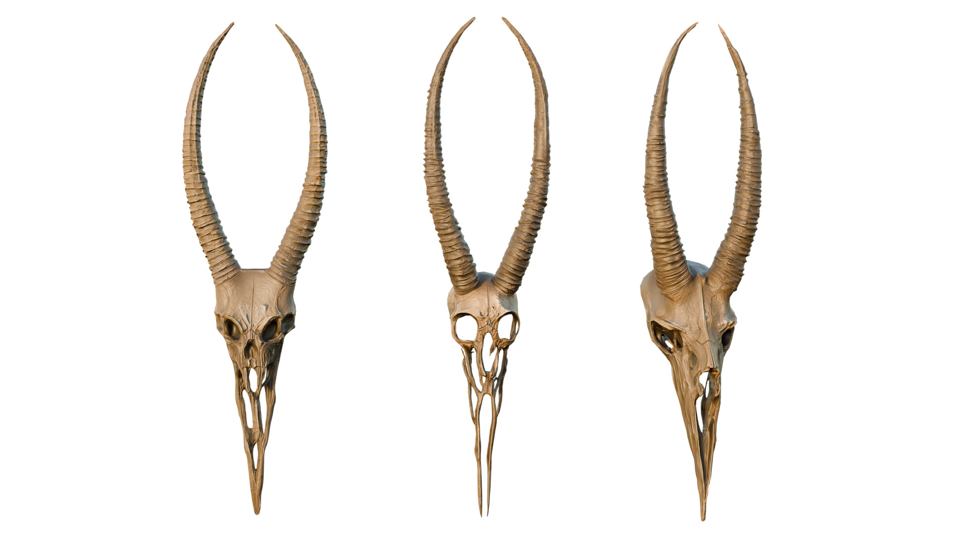 Big Horned wendigo head 3D model_9