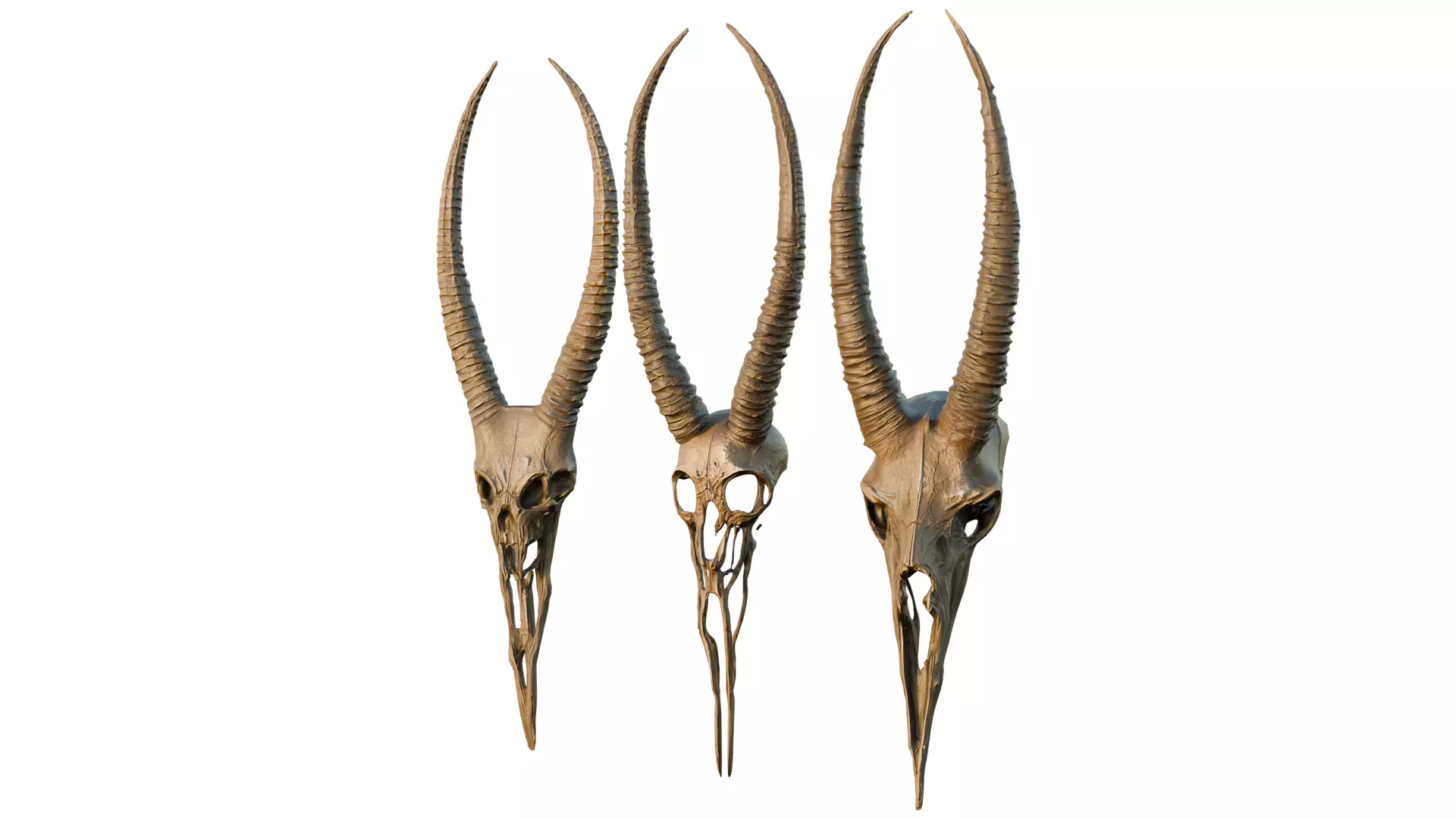 Big Horned wendigo head 3D model_0