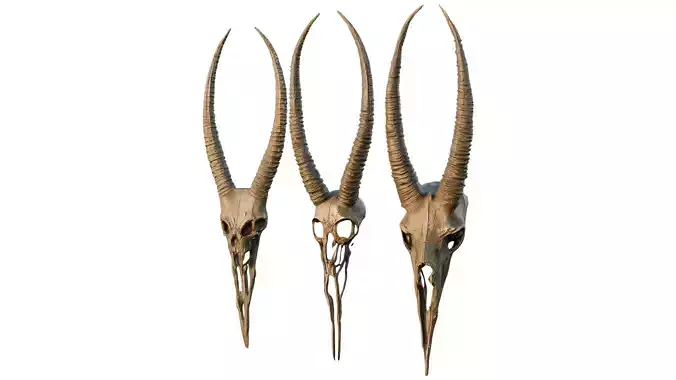 Big Horned wendigo head