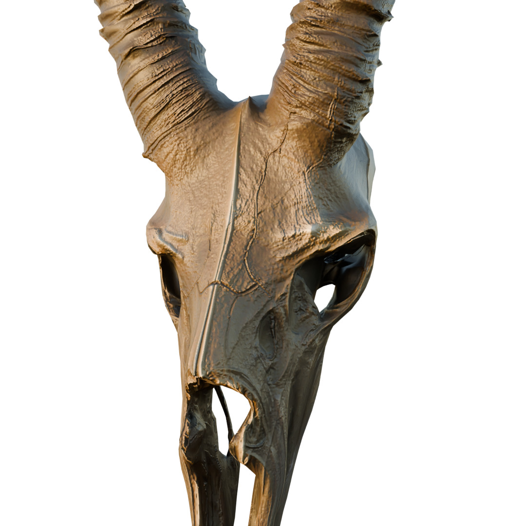 Big Horned wendigo head 3D model_4