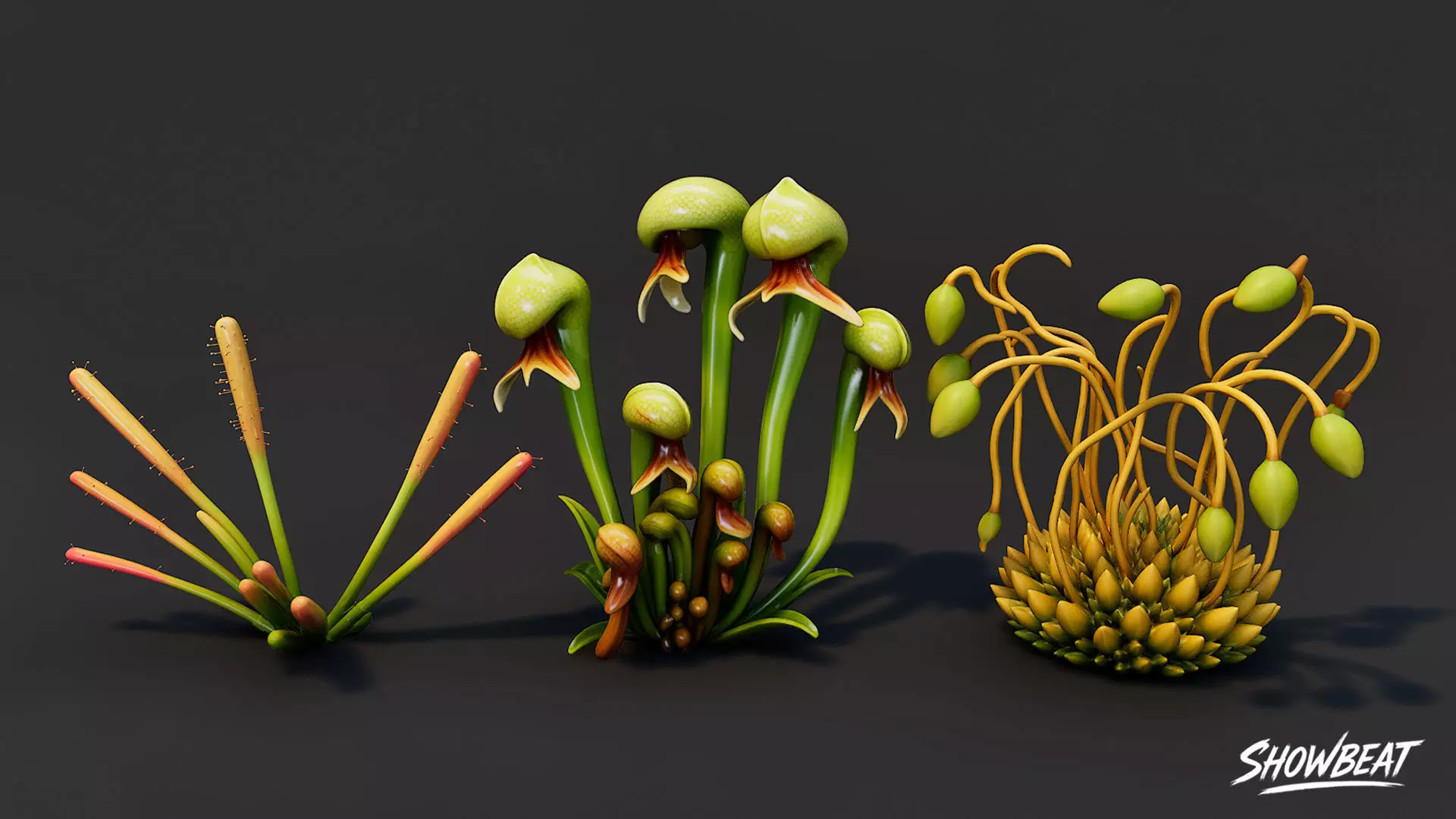 Cartoon Carnivorous Plants Pack Low-poly 3D model_15