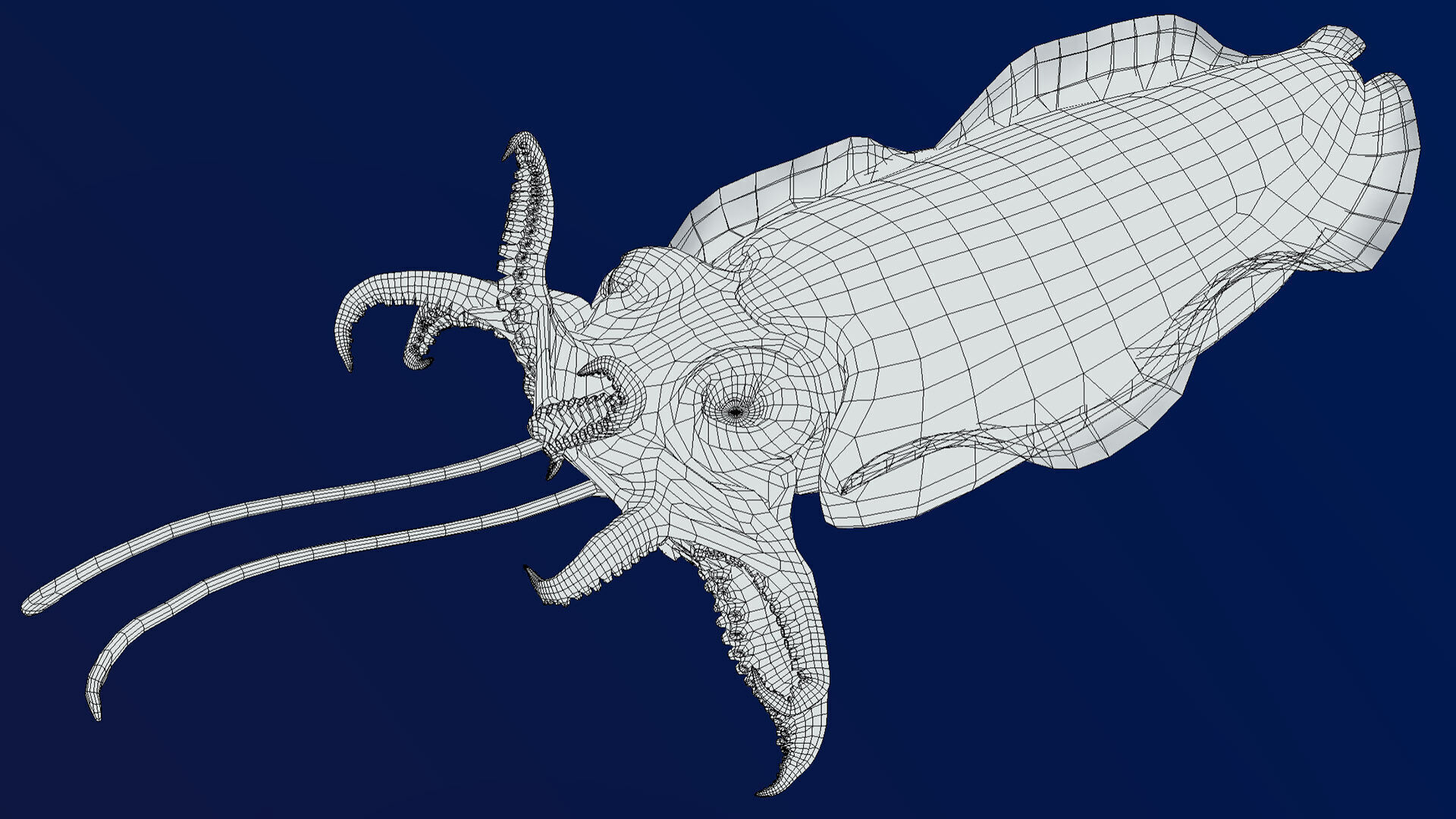 Golden Cuttlefish 3D model_5