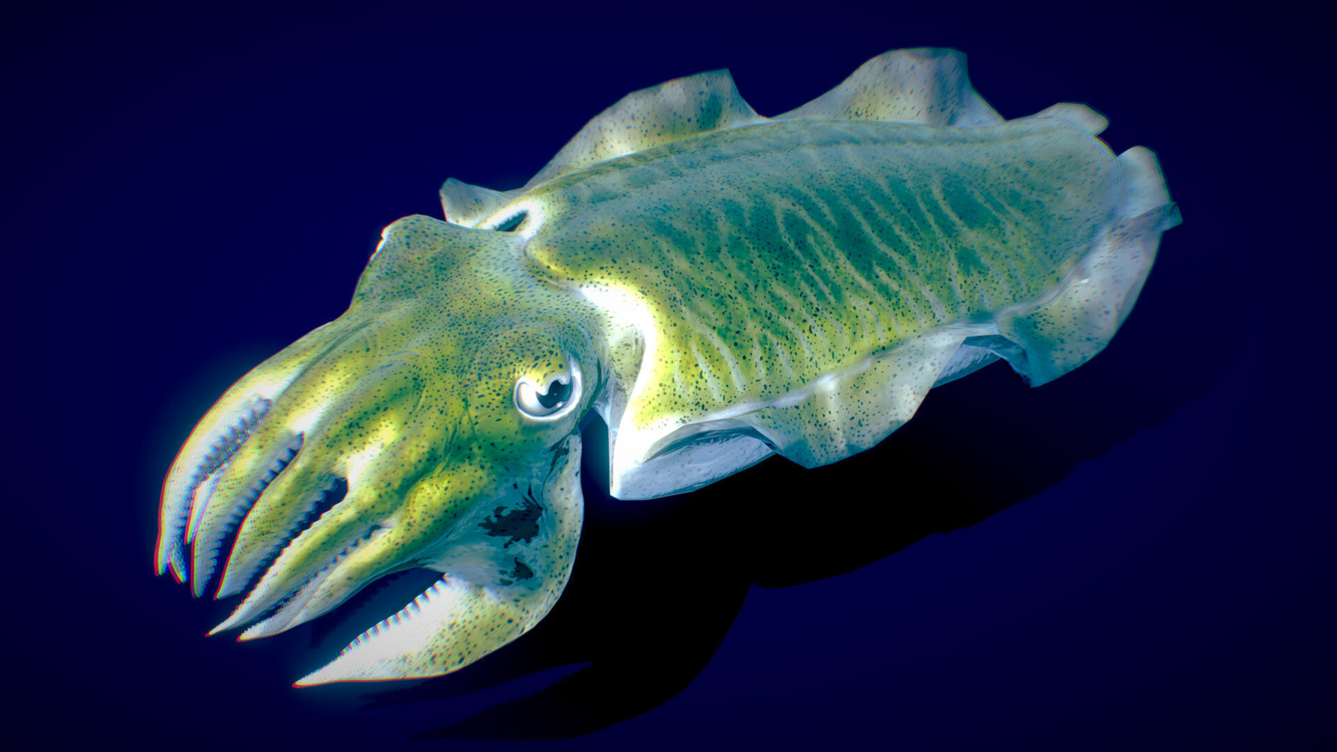 Golden Cuttlefish 3D model_1