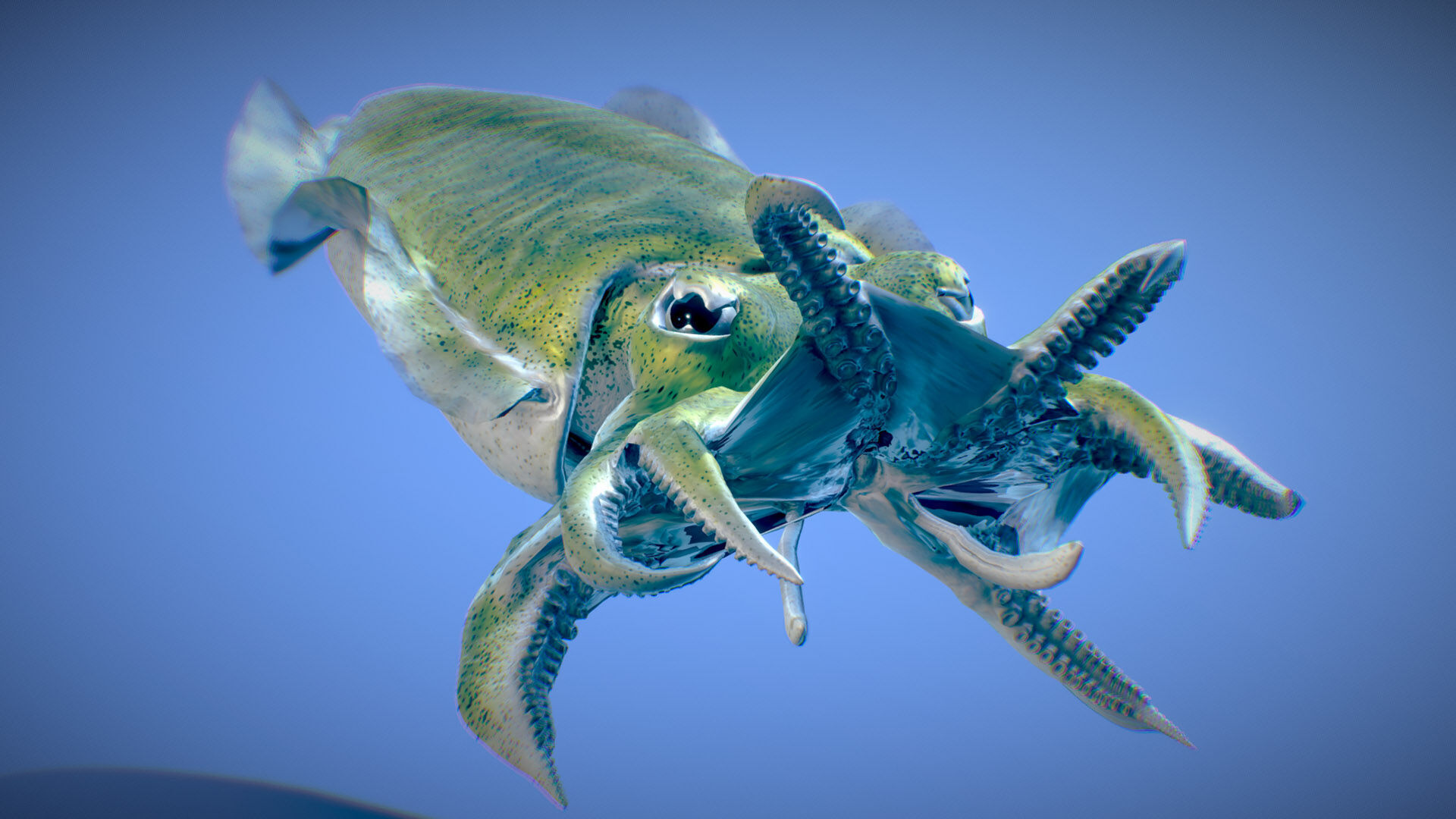 Golden Cuttlefish 3D model_3