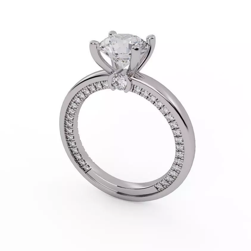 Ring 1 3D print model