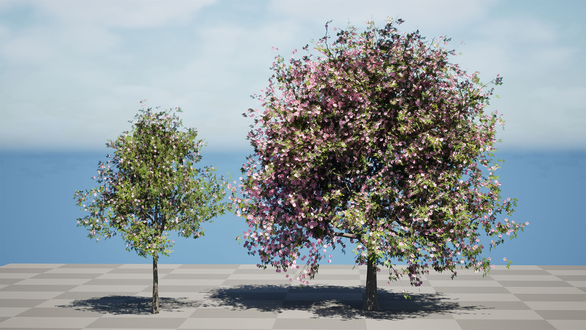 South African Pompon Tree Low-poly 3D model_7