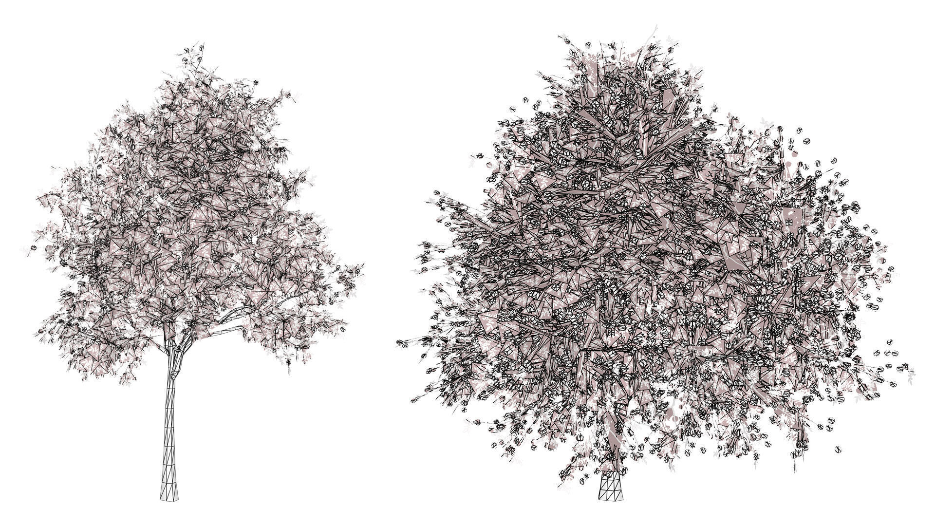 South African Pompon Tree Low-poly 3D model_9