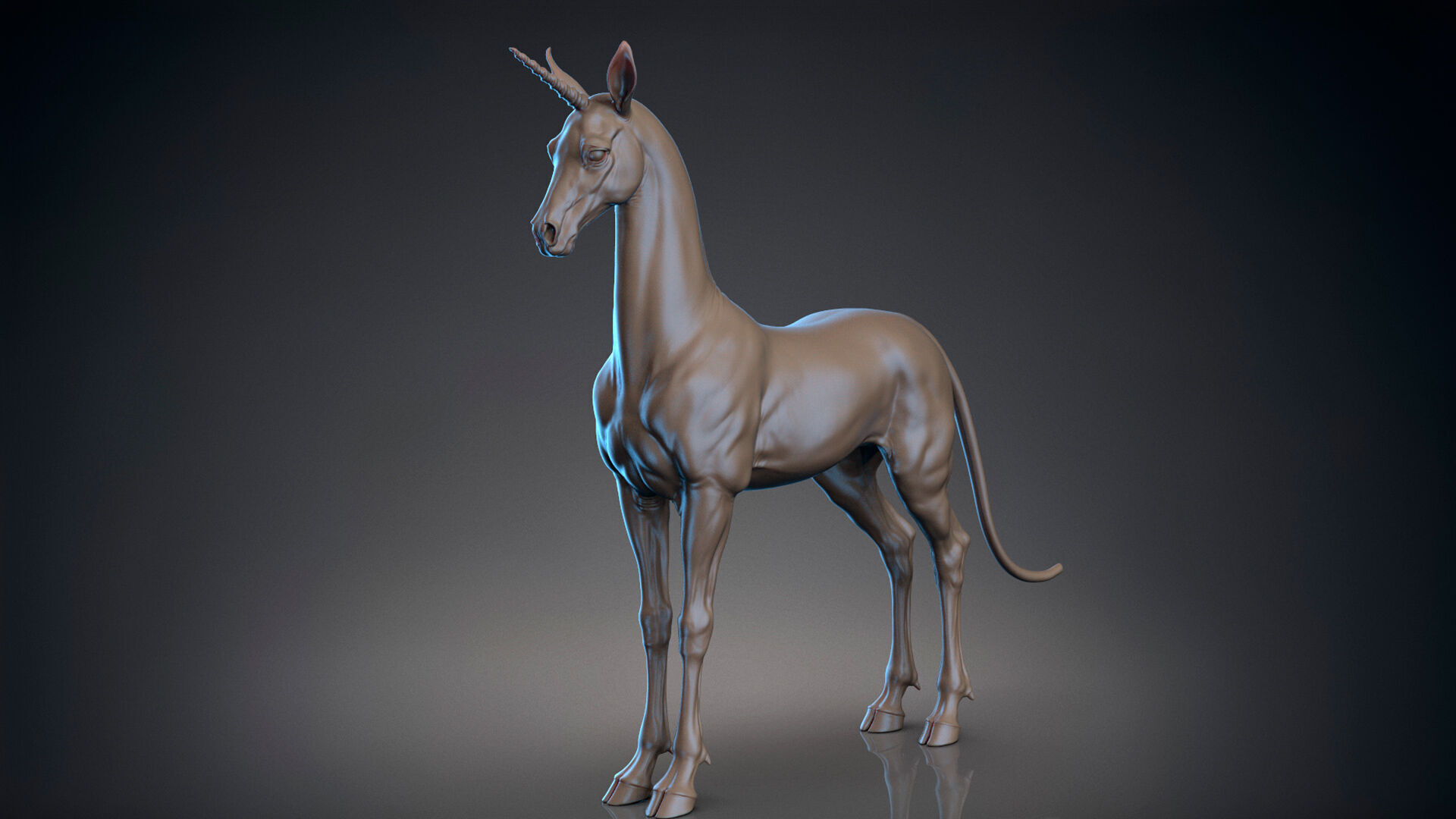 Horse Unicorn  -  TPose 3D model_3