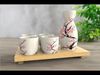The Sake Set 3D model_1