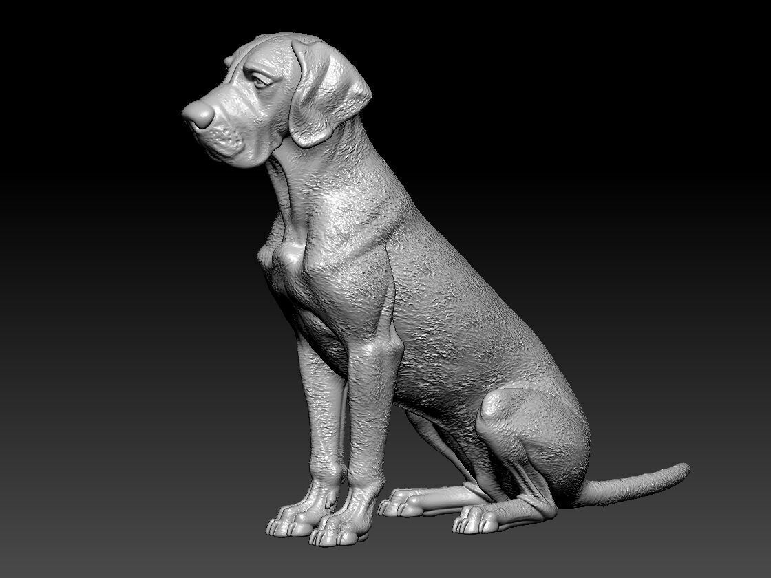Great Dane dog model - German Mastiff dog statue - 3D print 3D print model_2
