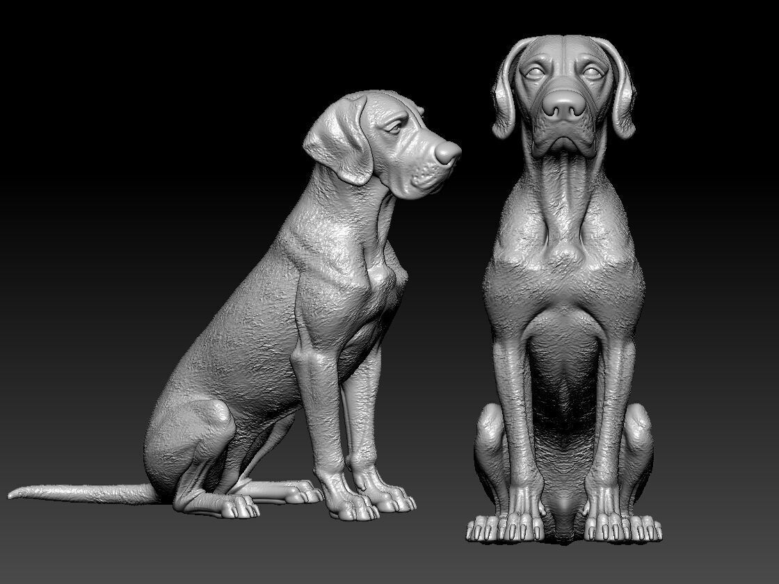 Great Dane dog model - German Mastiff dog statue - 3D print 3D print model_1