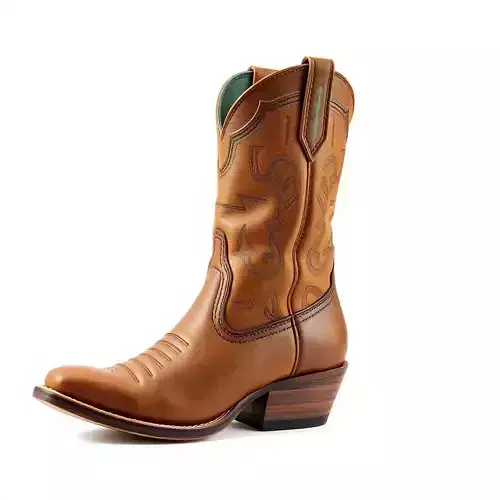 Western Cowboy Boot D Model Pack Low-poly 3D model