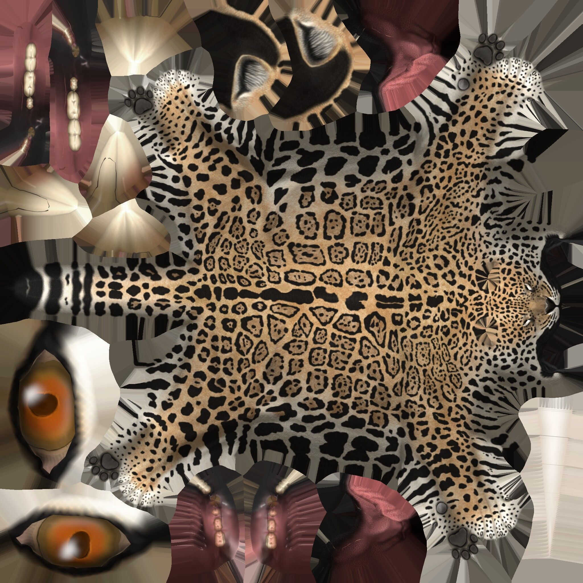 Realistic Jaguar Rigged and Animated for VR AR Games Low-poly 3D model_19