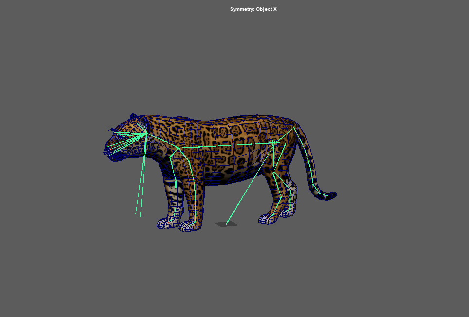Realistic Jaguar Rigged and Animated for VR AR Games Low-poly 3D model_16