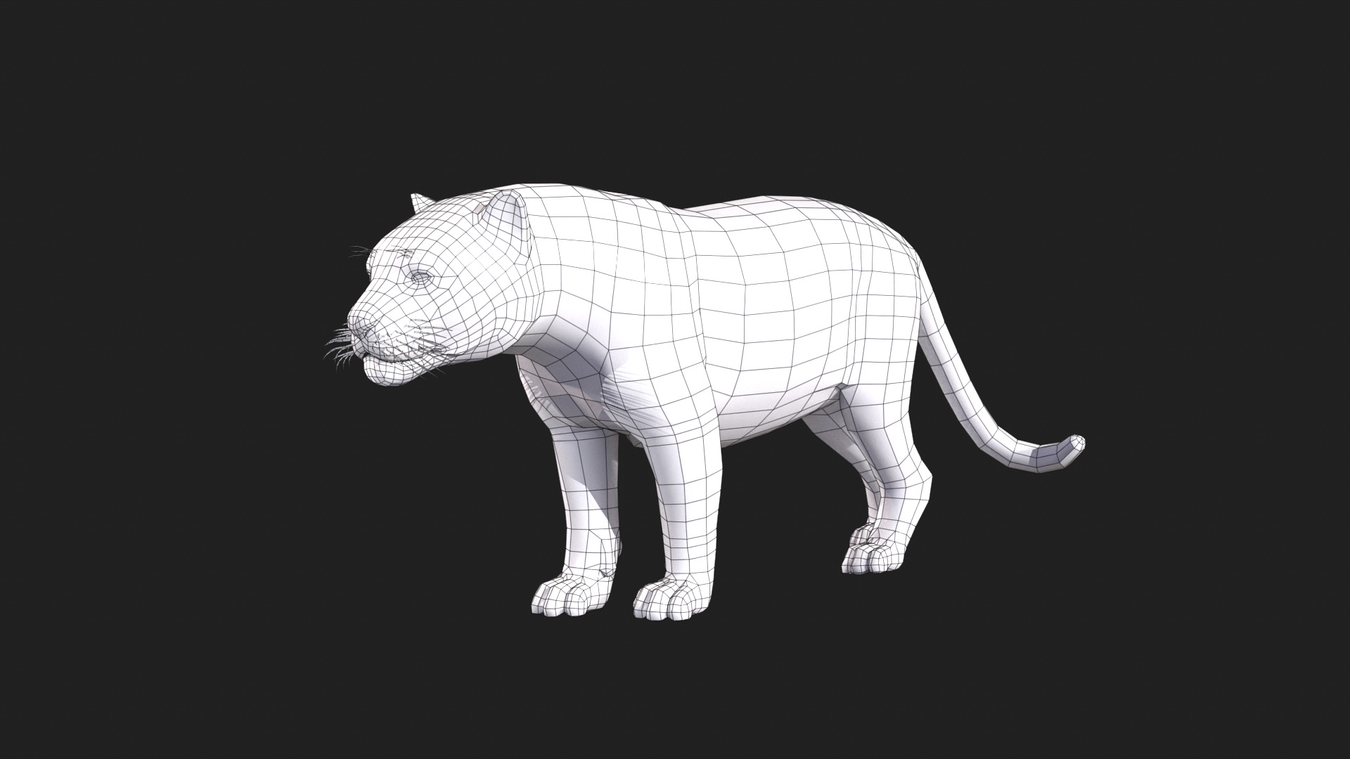 Realistic Jaguar Rigged and Animated for VR AR Games Low-poly 3D model_13