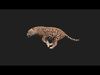 Realistic Jaguar Rigged and Animated for VR AR Games Low-poly 3D model_1