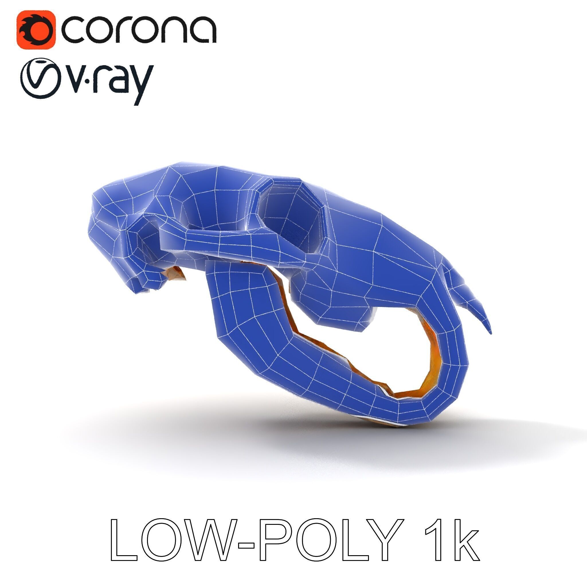 Rodent Skull Model Pack with Detailed Anatomy Low-poly 3D model_25