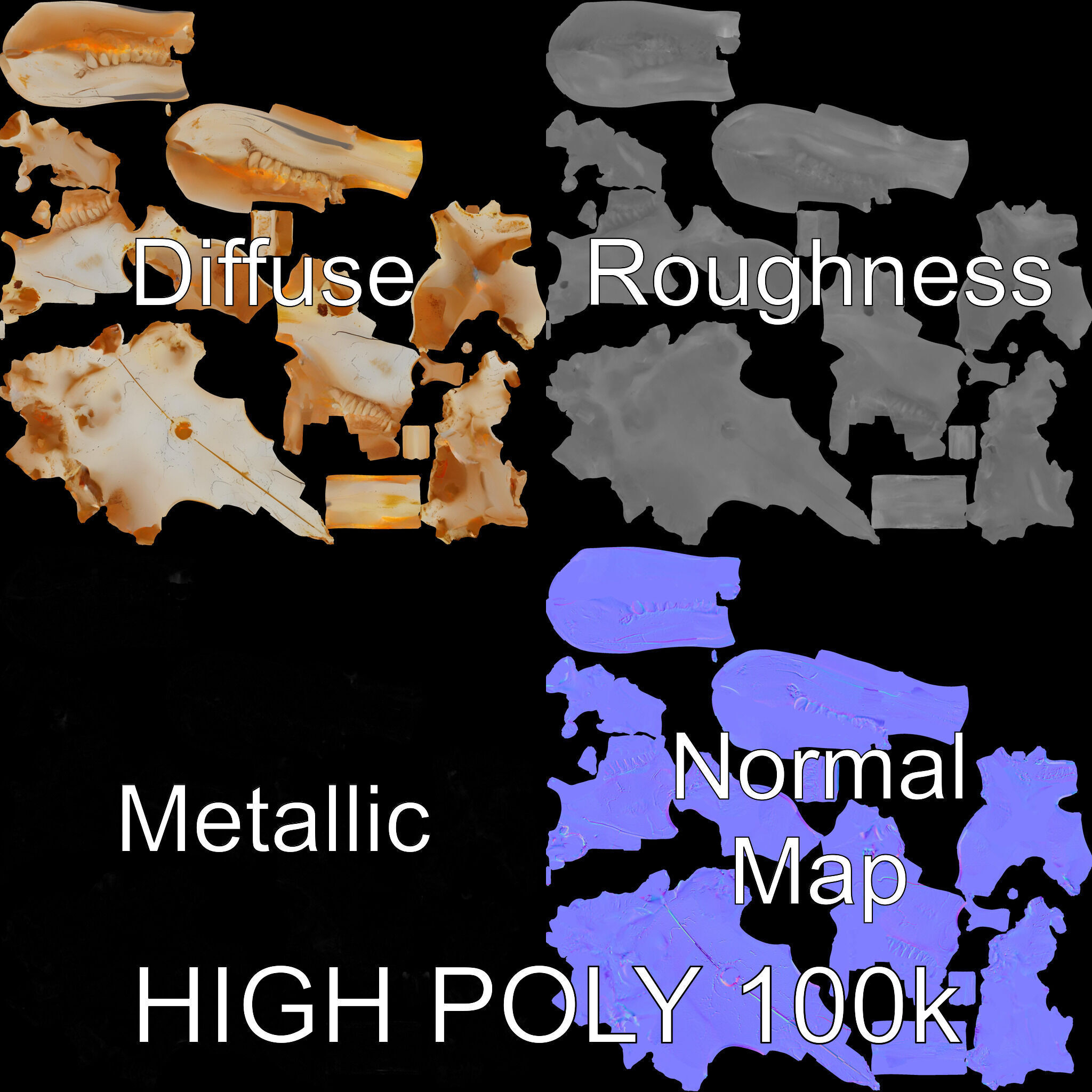 Rodent Skull Model Pack with Detailed Anatomy Low-poly 3D model_2