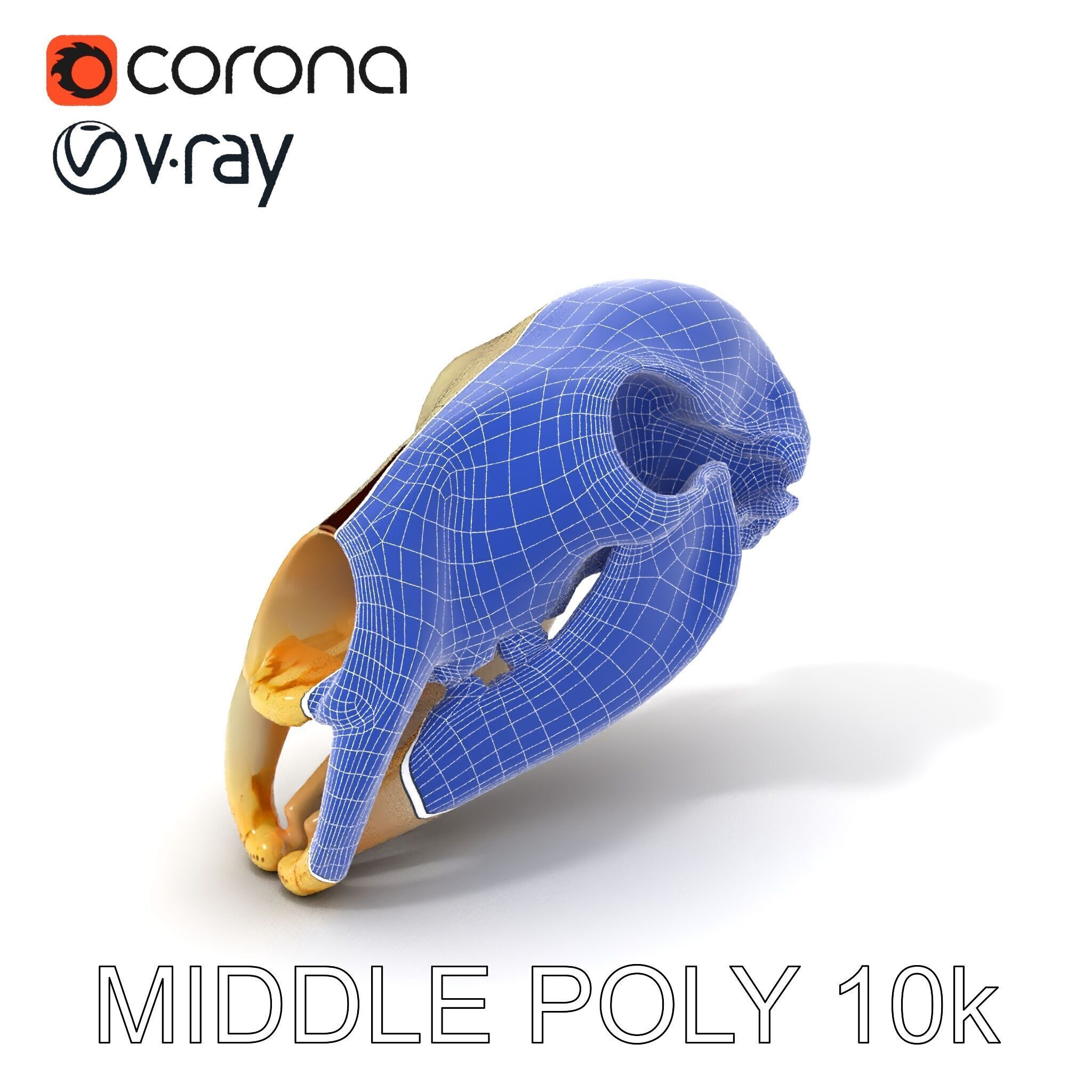 Animal Skull D Model Pack Low-poly 3D model_21