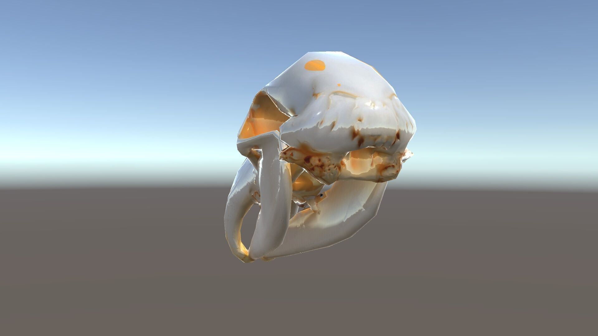 Animal Skull D Model Pack Low-poly 3D model_19