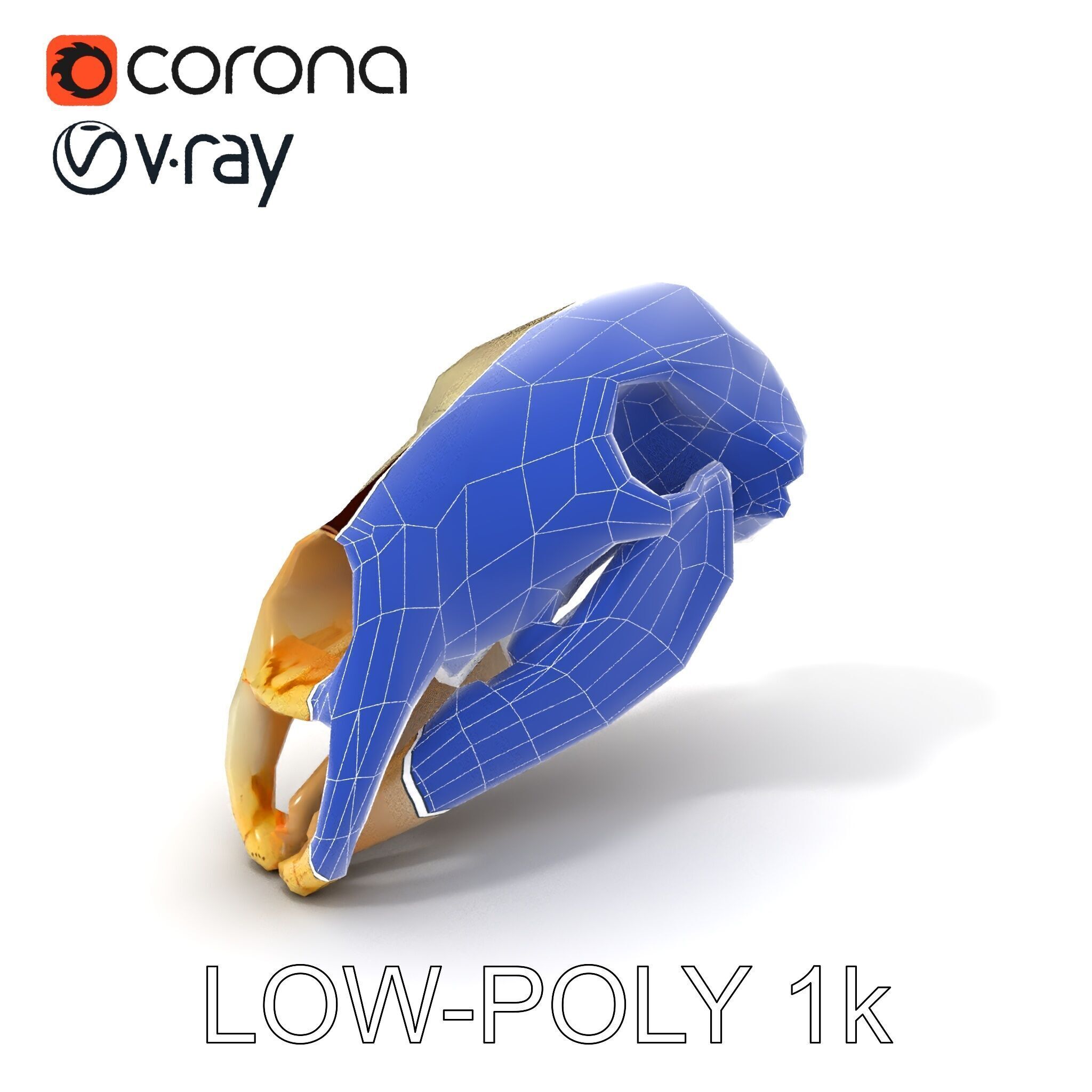 Animal Skull D Model Pack Low-poly 3D model_15