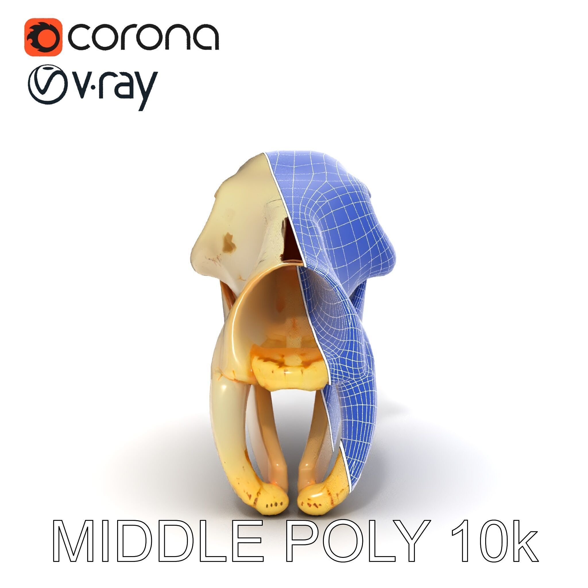 Animal Skull D Model Pack Low-poly 3D model_24