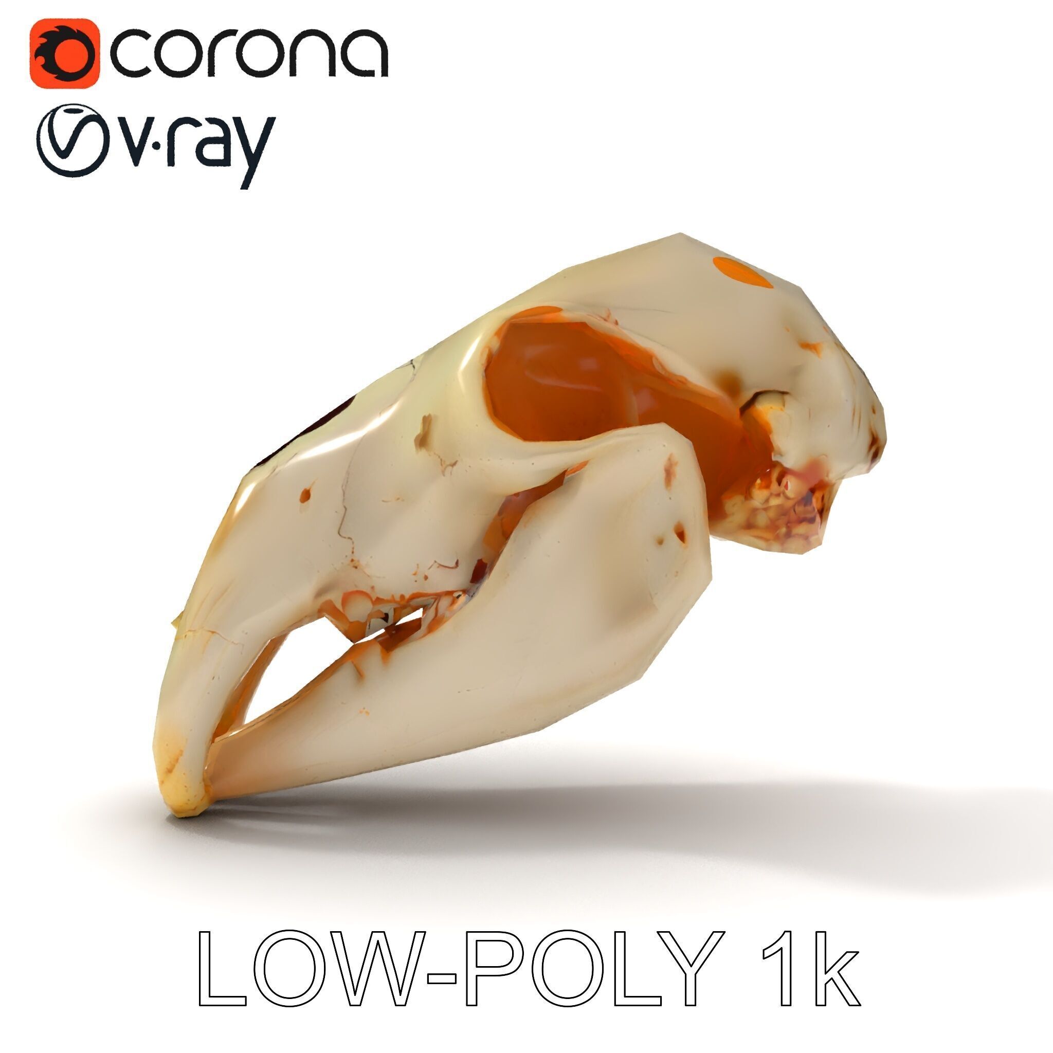 Animal Skull D Model Pack Low-poly 3D model_22
