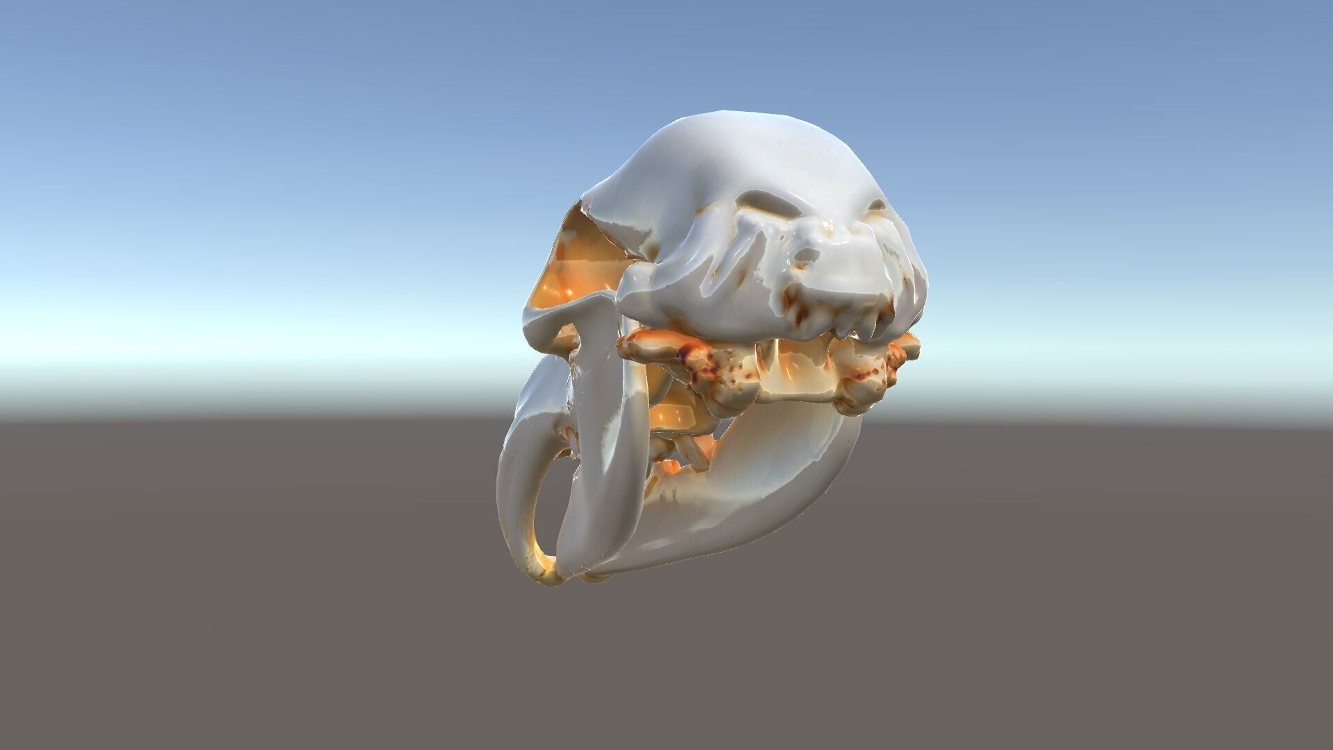 Animal Skull D Model Pack Low-poly 3D model_18