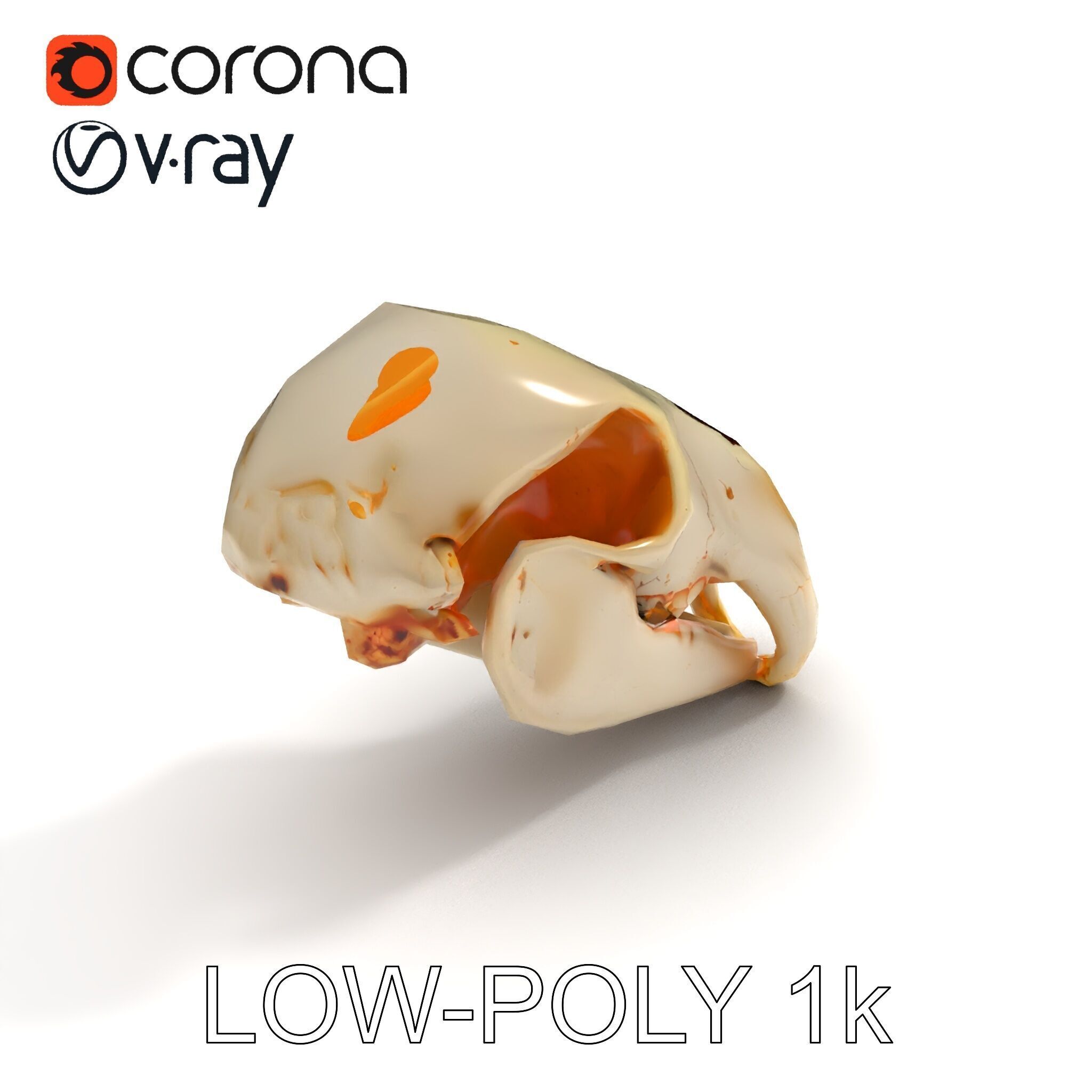 Animal Skull D Model Pack Low-poly 3D model_9