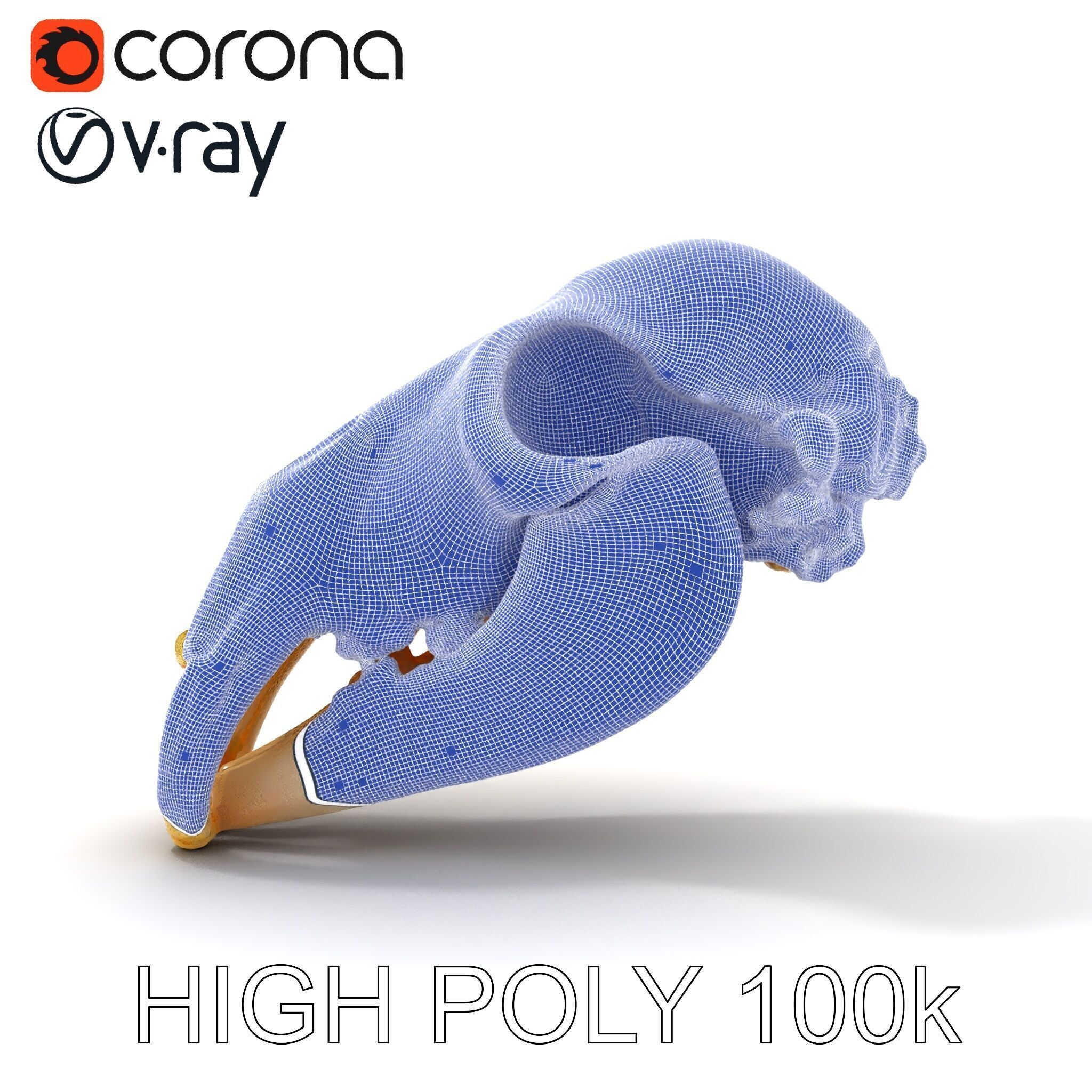 Animal Skull D Model Pack Low-poly 3D model_31